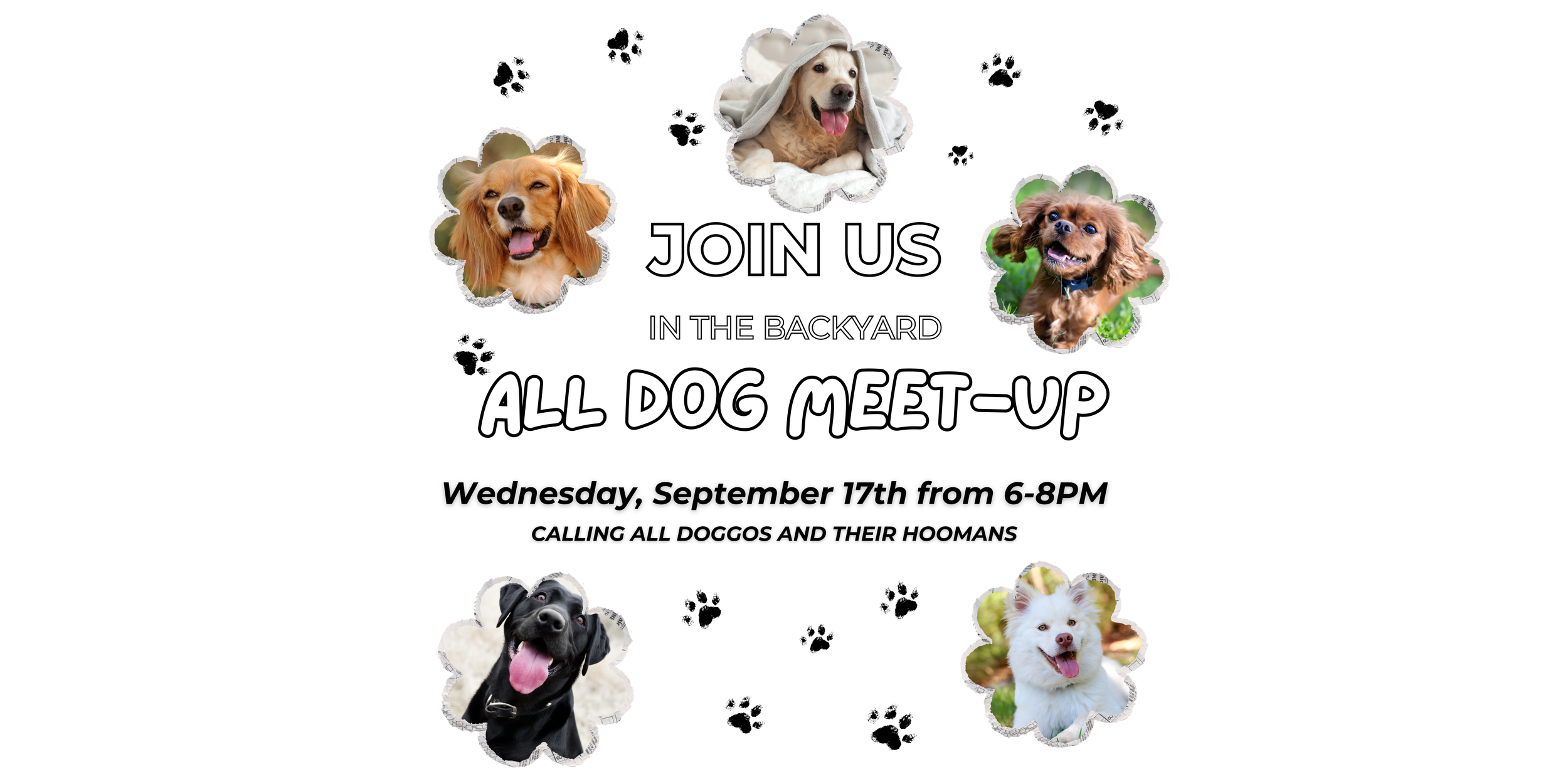 ALL DOG MEET UP