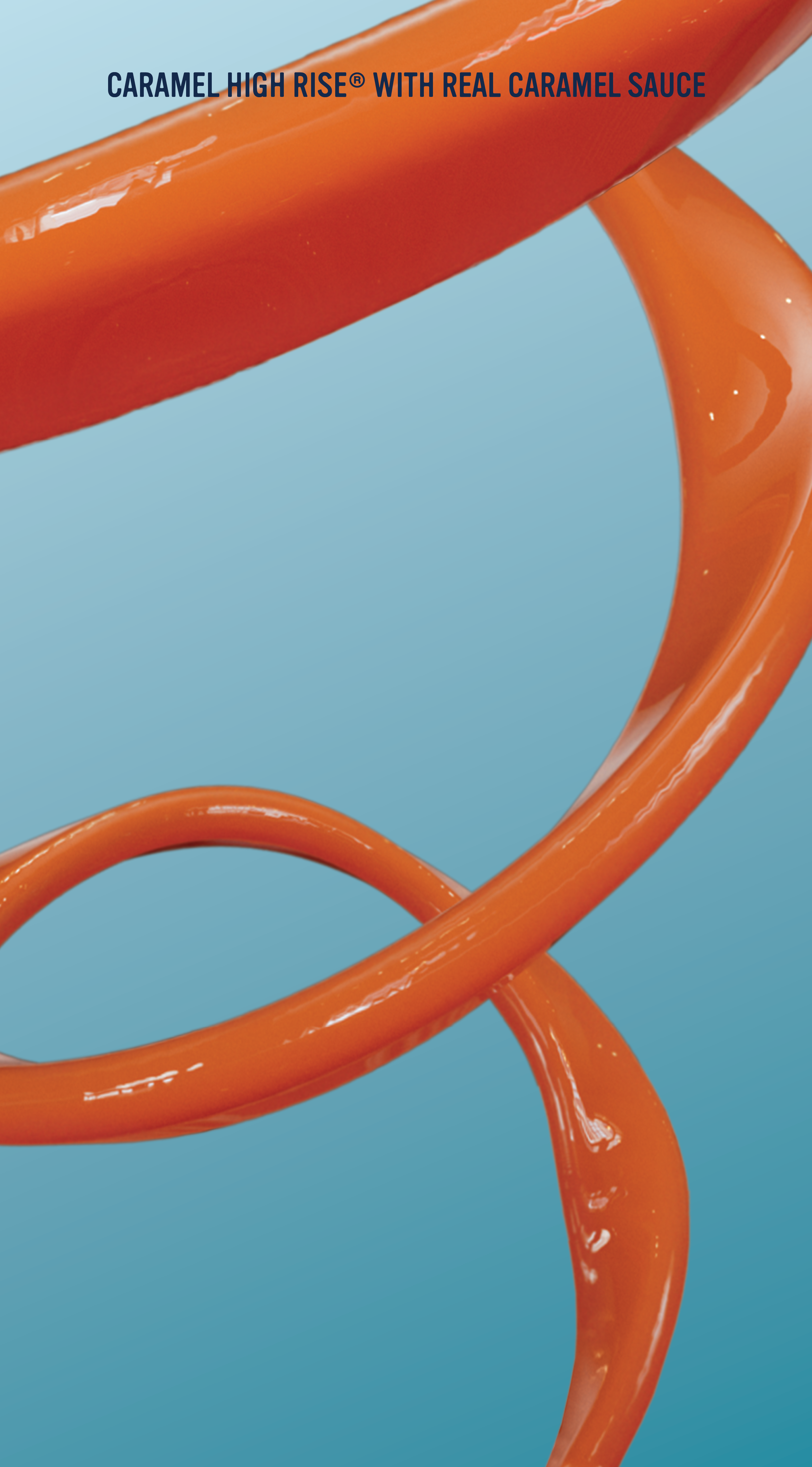 24-Cbou-0038_no copy_caramel_36x65_V700.png