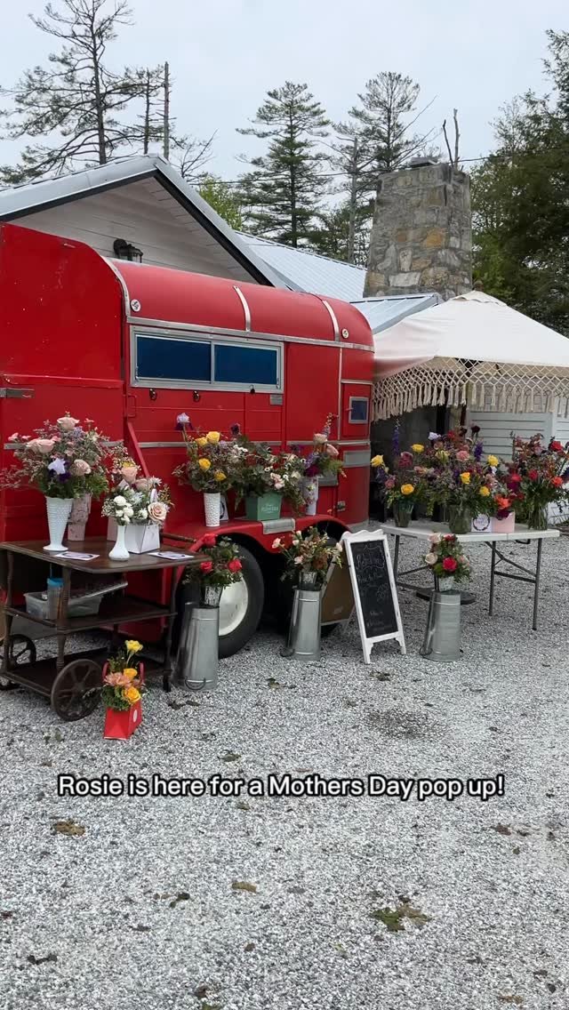#cashiersflorist #retrowhims #whimsicalflowers #cashiersnc #cashiersweddingflorist #mothersdaygifts #happymom