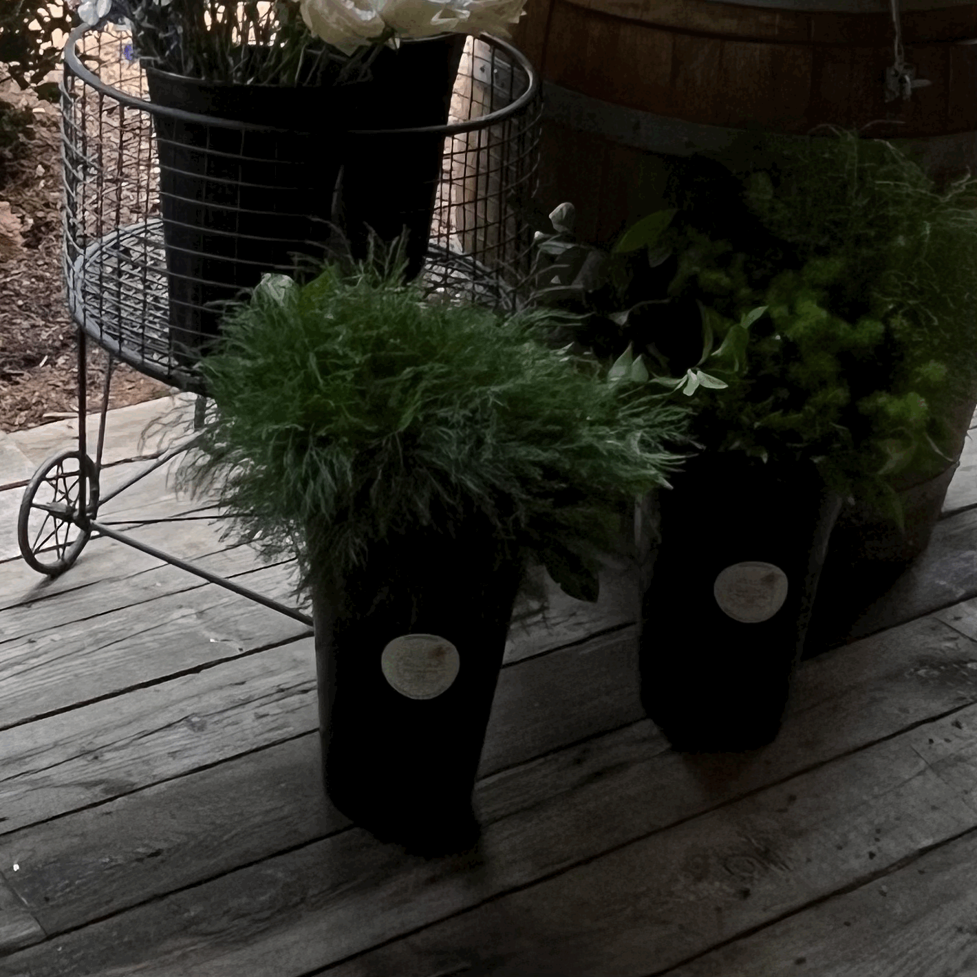 Bucket of Greenery