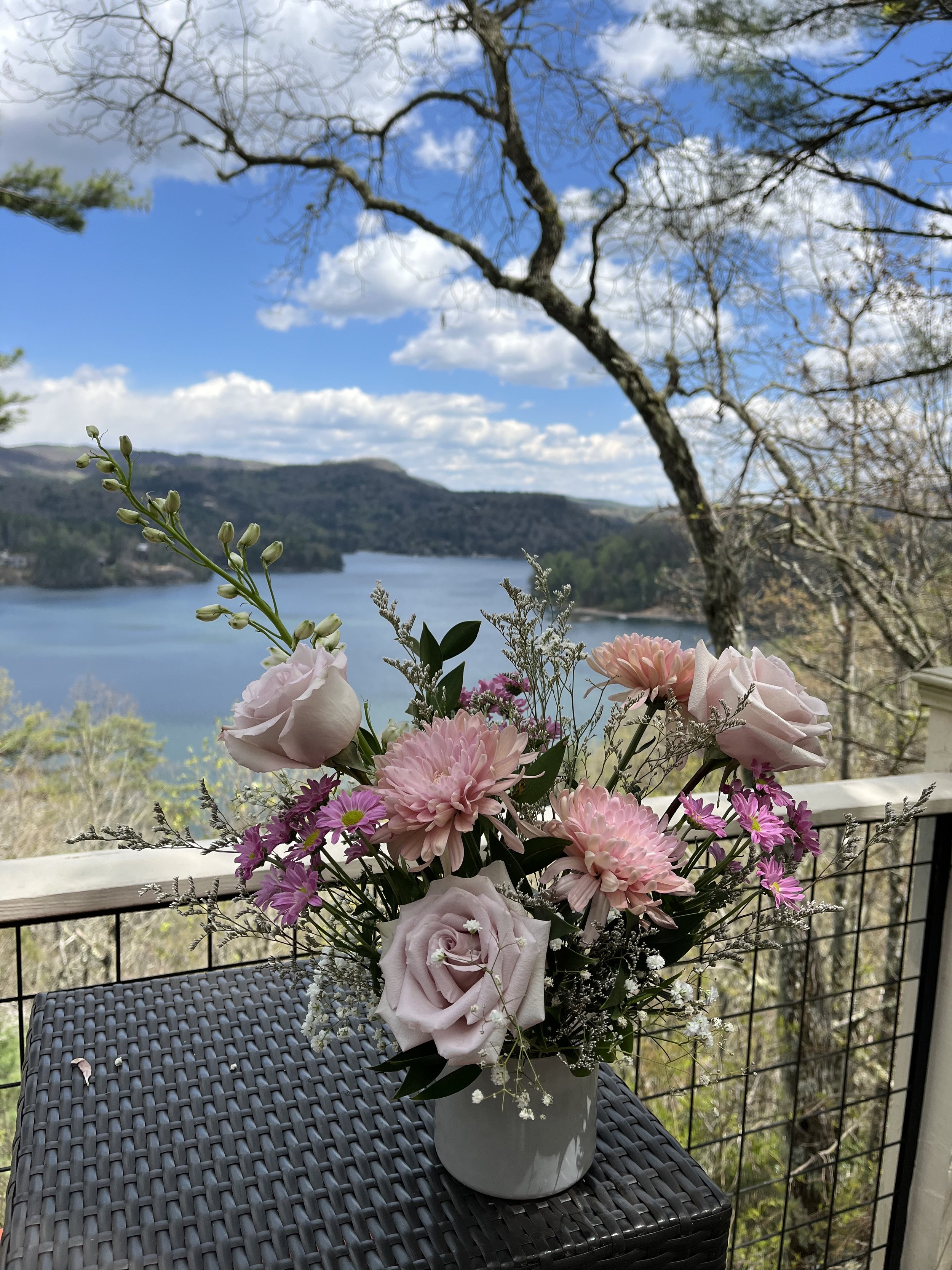 The Mountain Mama Collection