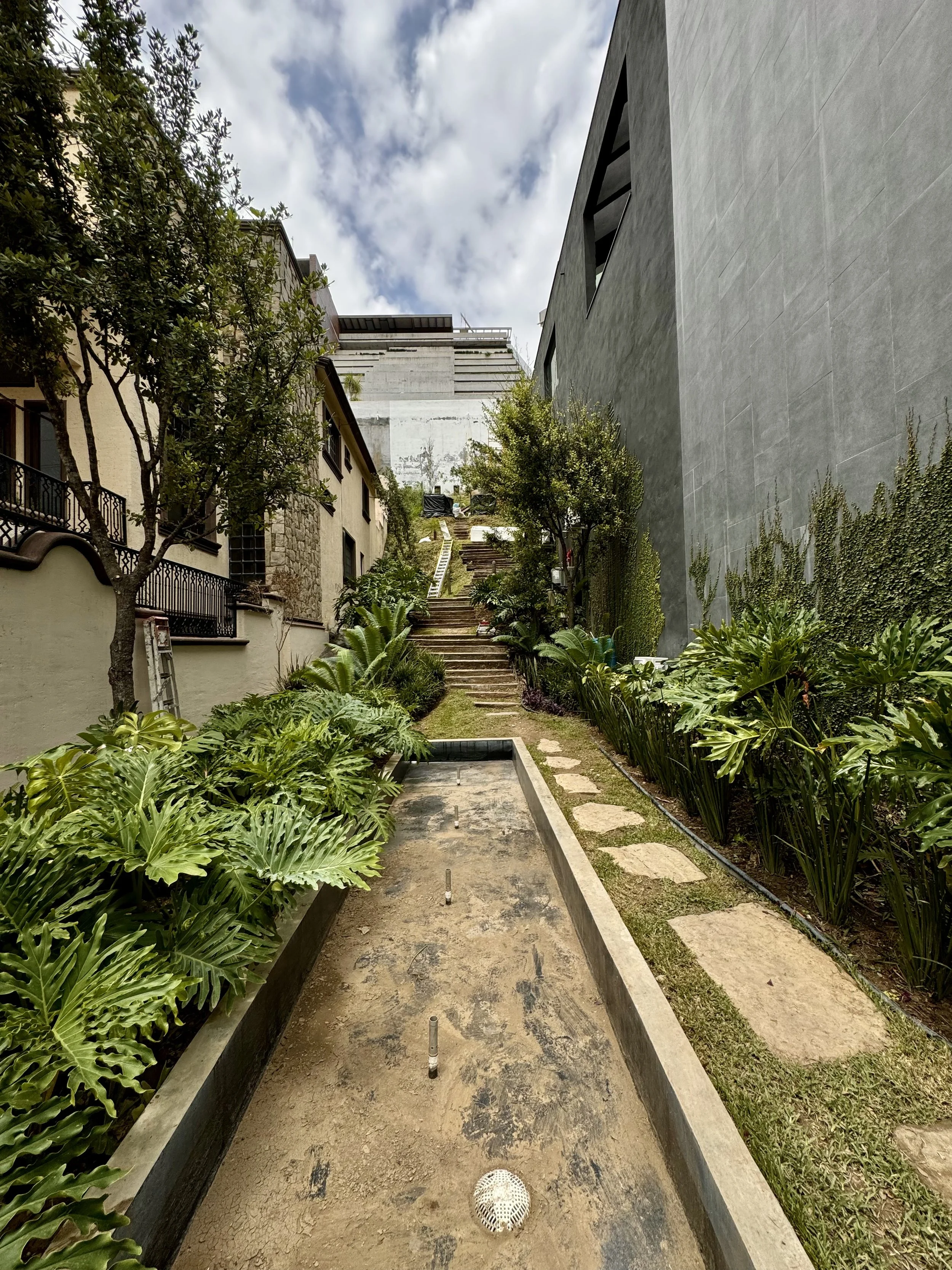Jardín con sendero de piedra, plantas verdes y árboles en un barrio urbano, con edificios altos al fondo y cielo nublado.