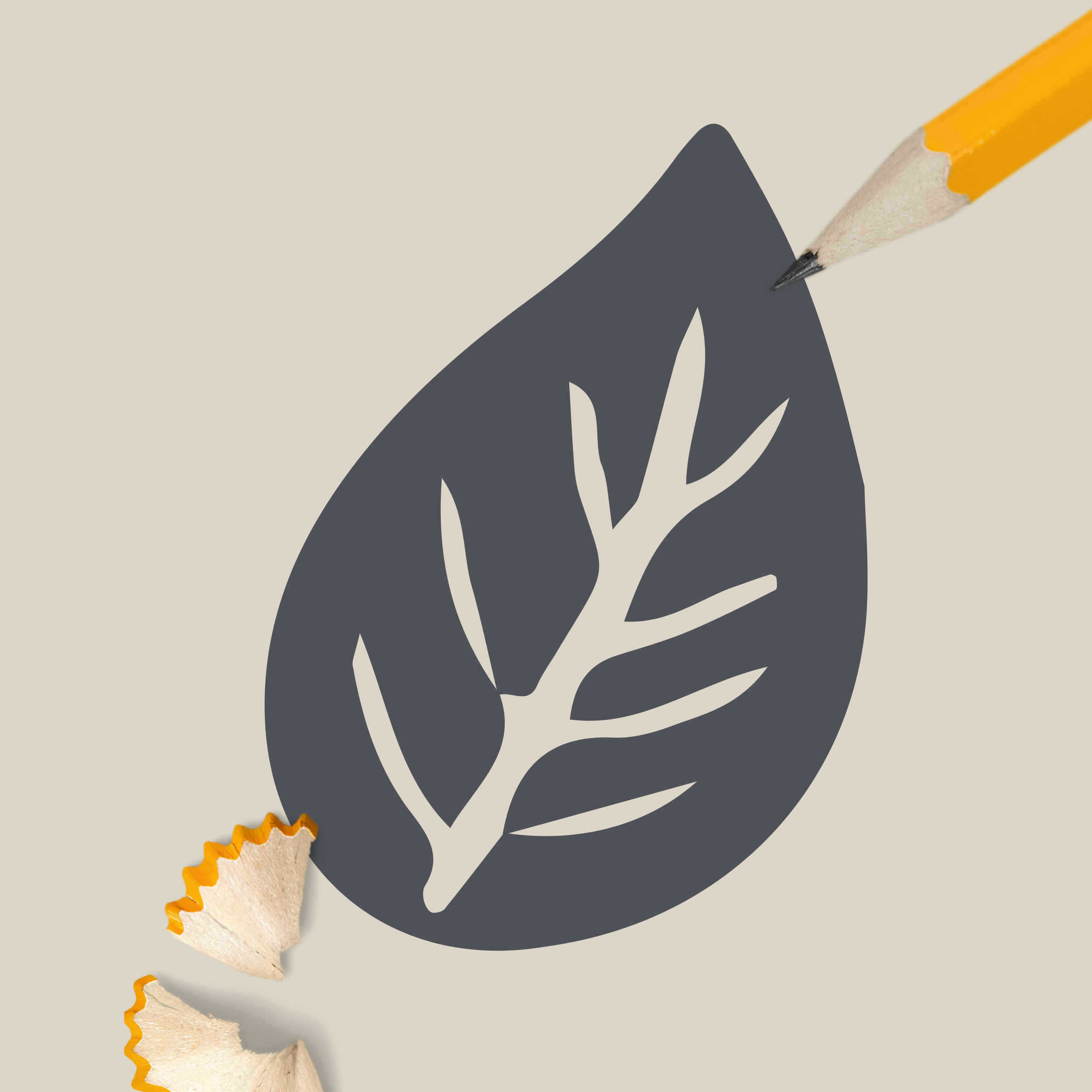 Dibujo de una hoja y una rama en color gris oscuro en una hoja de papel con línea de árbol en el centro, junto a un lápiz amarillo y cáscaras de lápiz trituradas de color beige con borde naranja en un fondo beige claro.