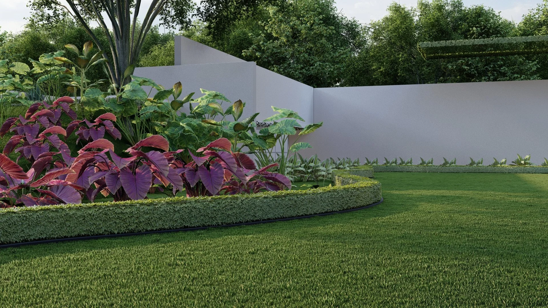 Jardín con césped verde, plantas con hojas moradas y verdes, y paredes blancas.