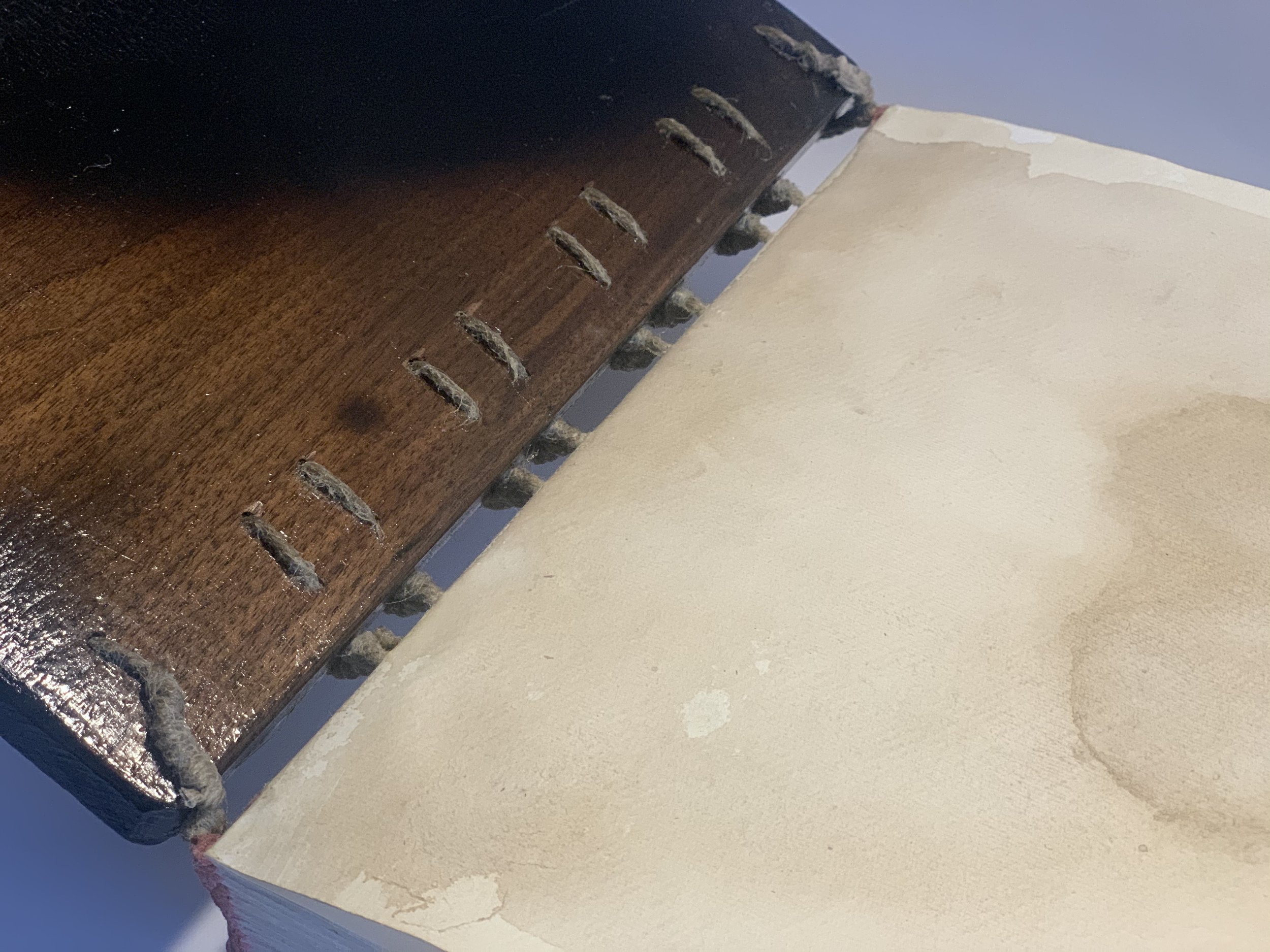 Parable interior spine detail.jpeg