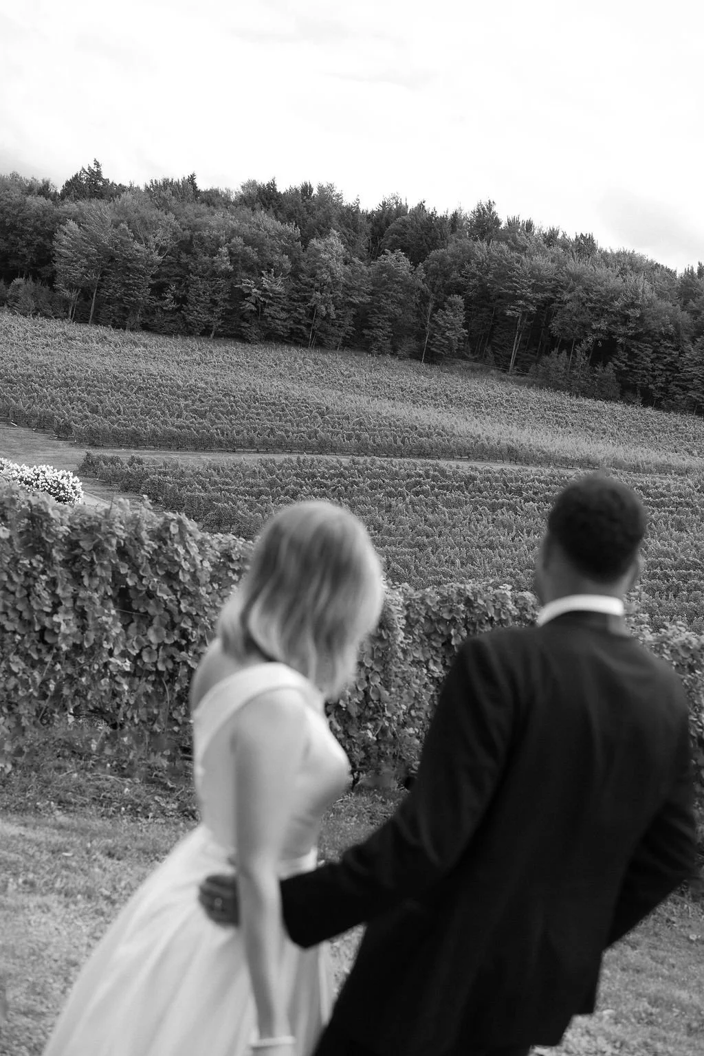 CreatifVignobleduRuisseau-3.jpg