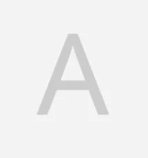 Screenshot 2024-08-23 at 2.49.33 PM.jpg