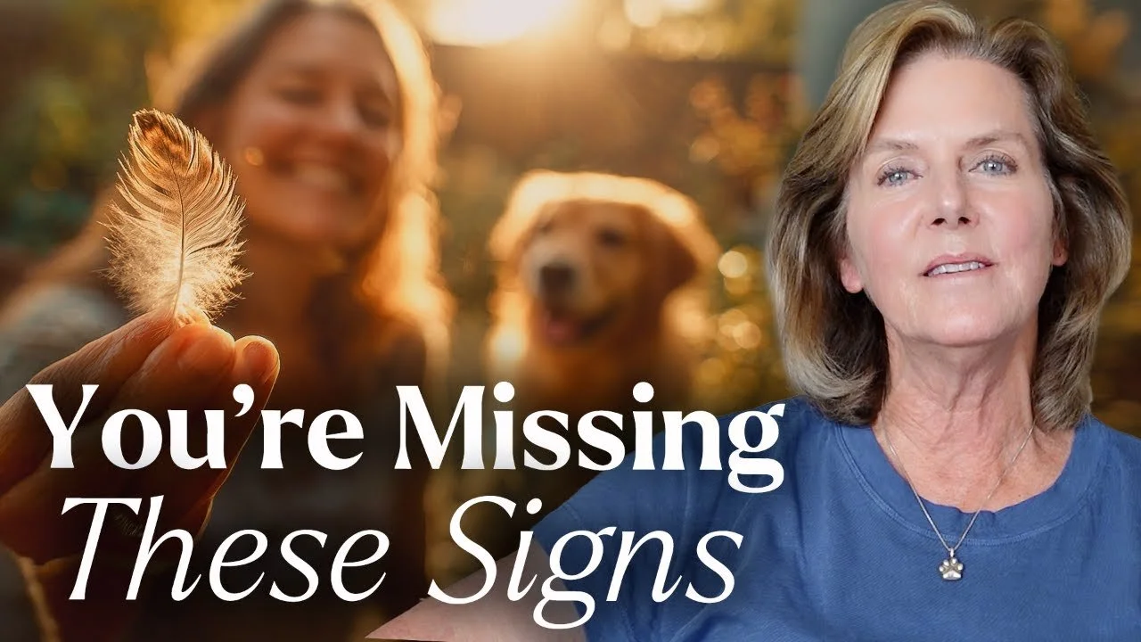 Haven’t Seen a Sign from Your Pet in Spirit? You May Be Missing This… | LIVE with Tami Hendrix