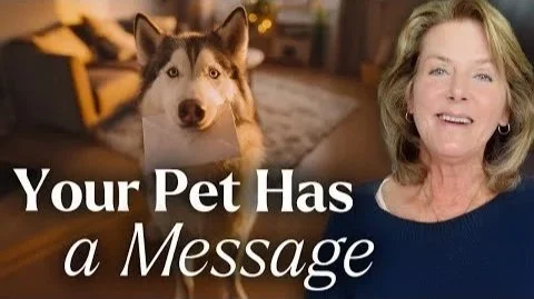 Animals as Messengers: What They Can Reveal About Your Life Path | LIVE with Tami Hendrix