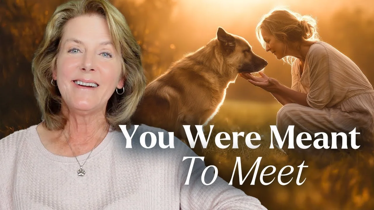 Do You Have A Divine Appointment with Your Animal? (Find Out!) | LIVE with Tami Hendrix