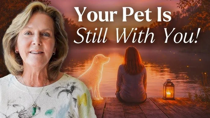 5 Signs Your Pet is Still With You: The 5 Soul Roles | LIVE with Tami Hendrix