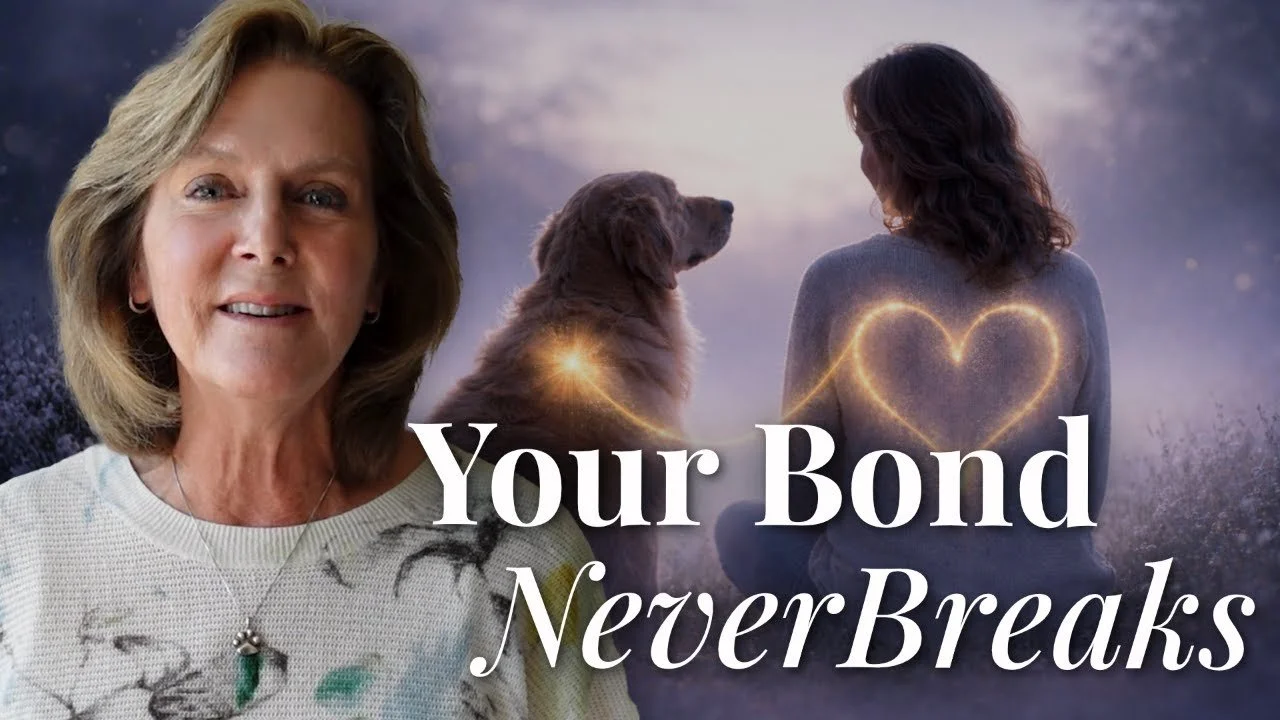The Heart-to-Heart Cord: How Your Pet Stays Connected Forever | LIVE with Tami Hendrix