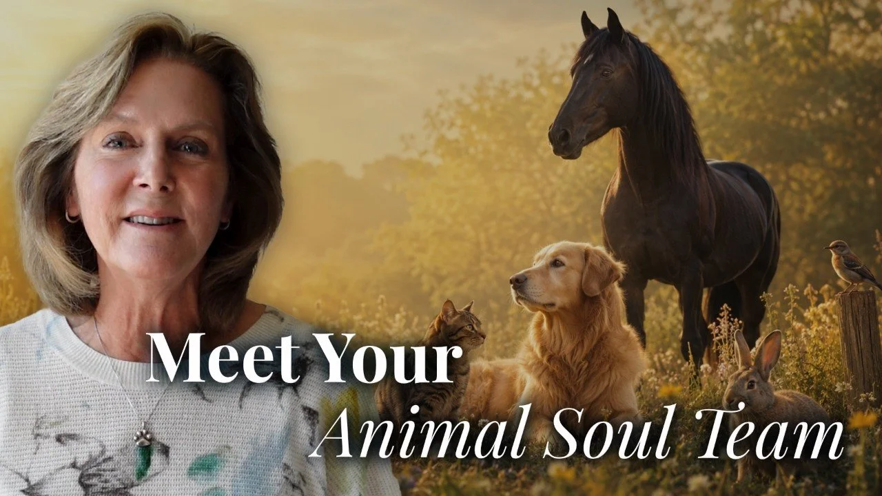 Do Dogs &amp; Cats Choose Their Family? The Deeper Meaning Behind the Animals Who Find Us