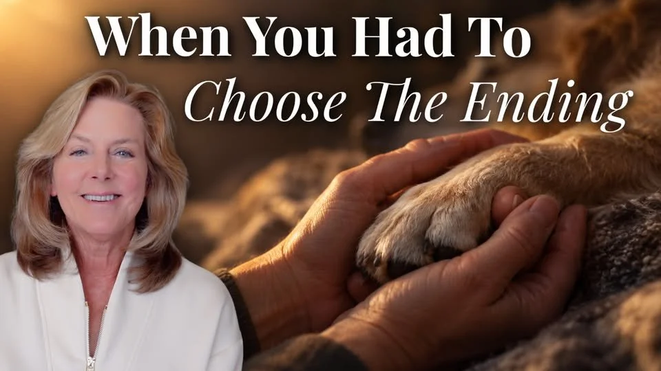 The Guilt of Choosing Goodbye for Your Pet: Christina and Luna’s Story