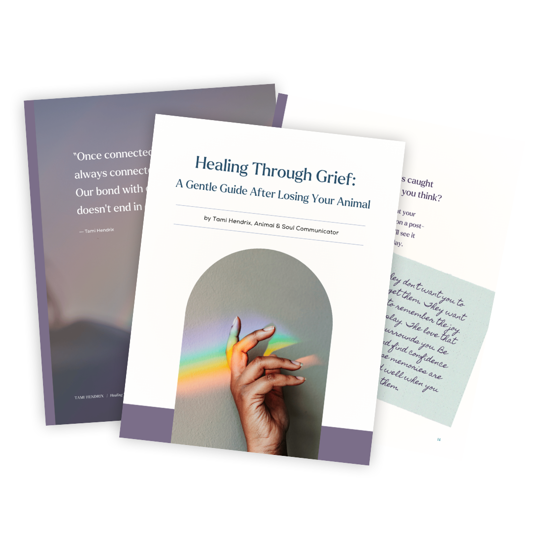 Healing Through Grief