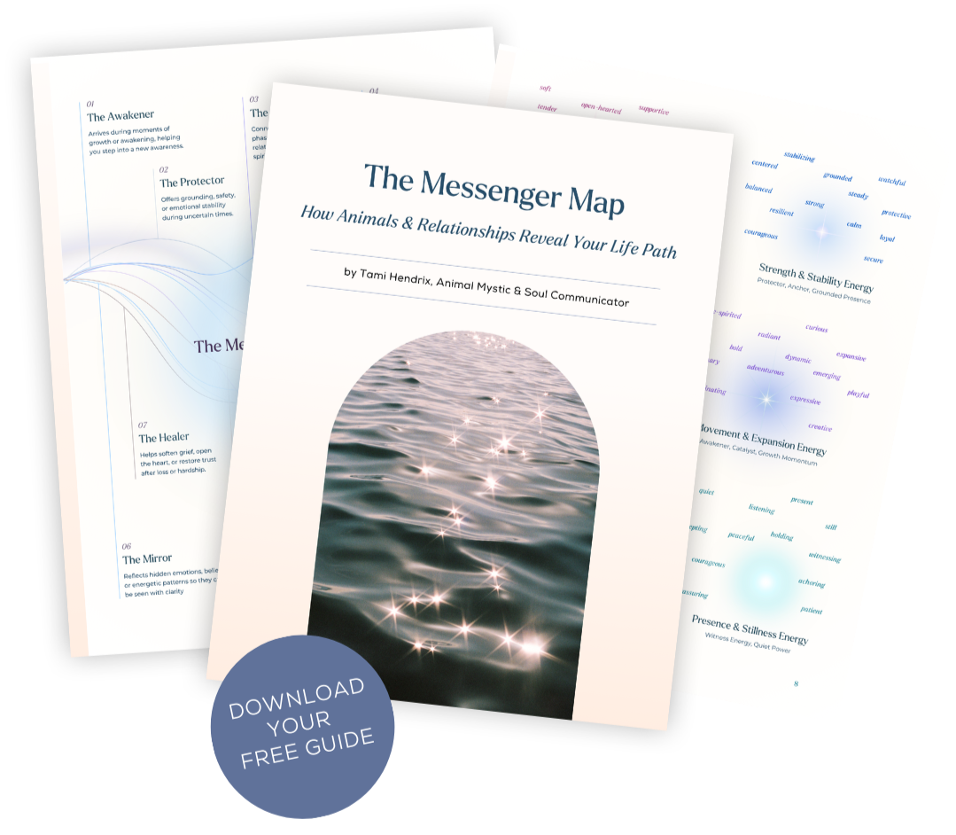 Copy of The Messenger Map Post Promo 1080x1350.png