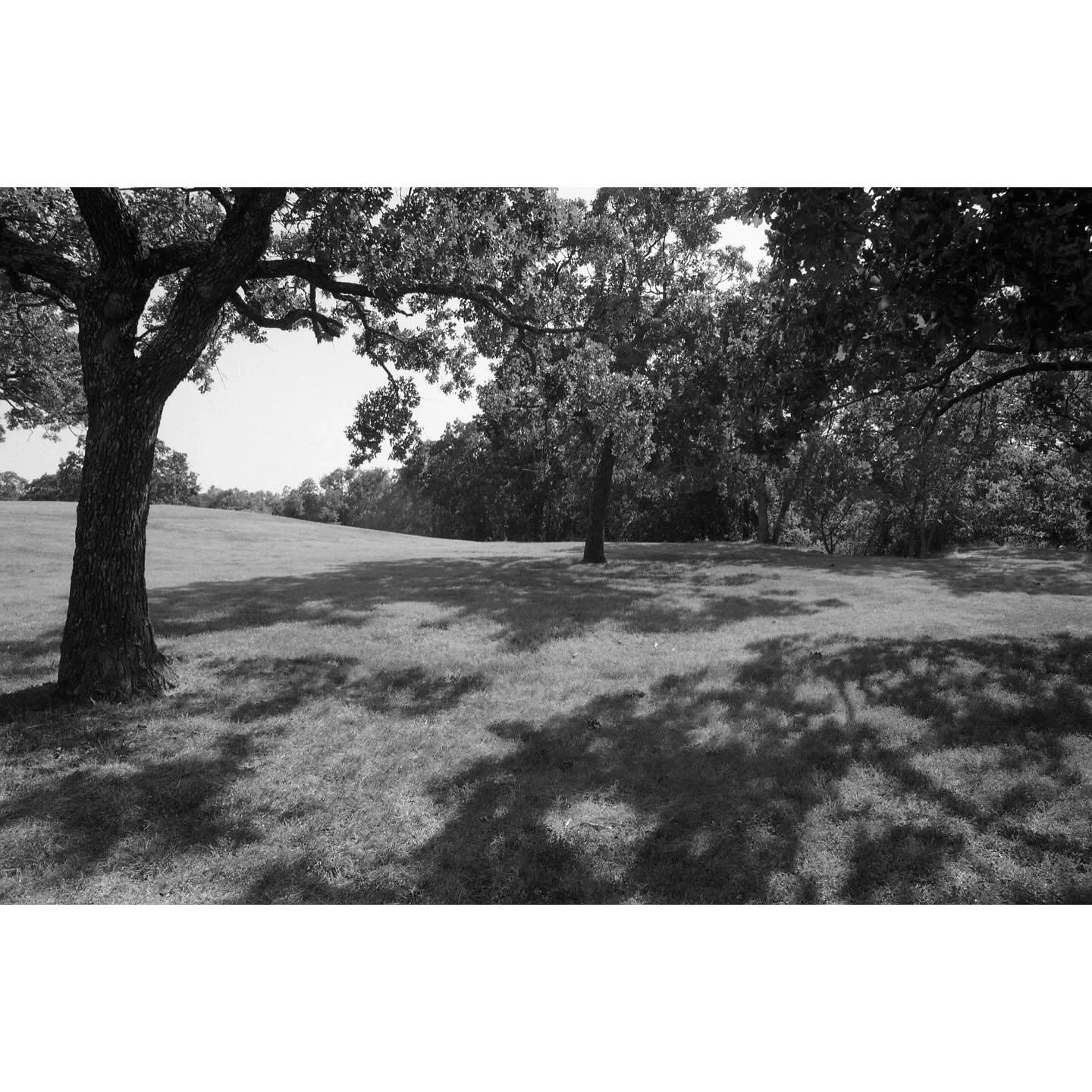 Chandler Park.
#tulsafilm #theanalogcrew #35mmfilm #35mmanalog #shootmoreblackandwhitefilm #ilfordphoto #darkroommagic #ilfordilfotecdd #nikonians #nikkoraf #24mmf28d #nikonf5 #ilfordelta400