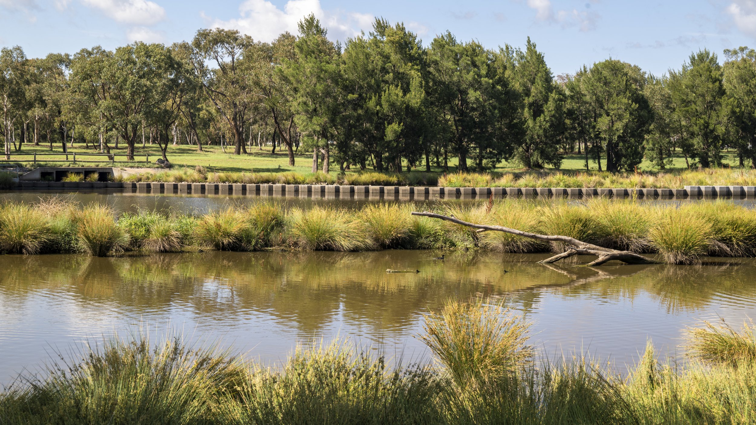 Isabella Pond-10.jpg