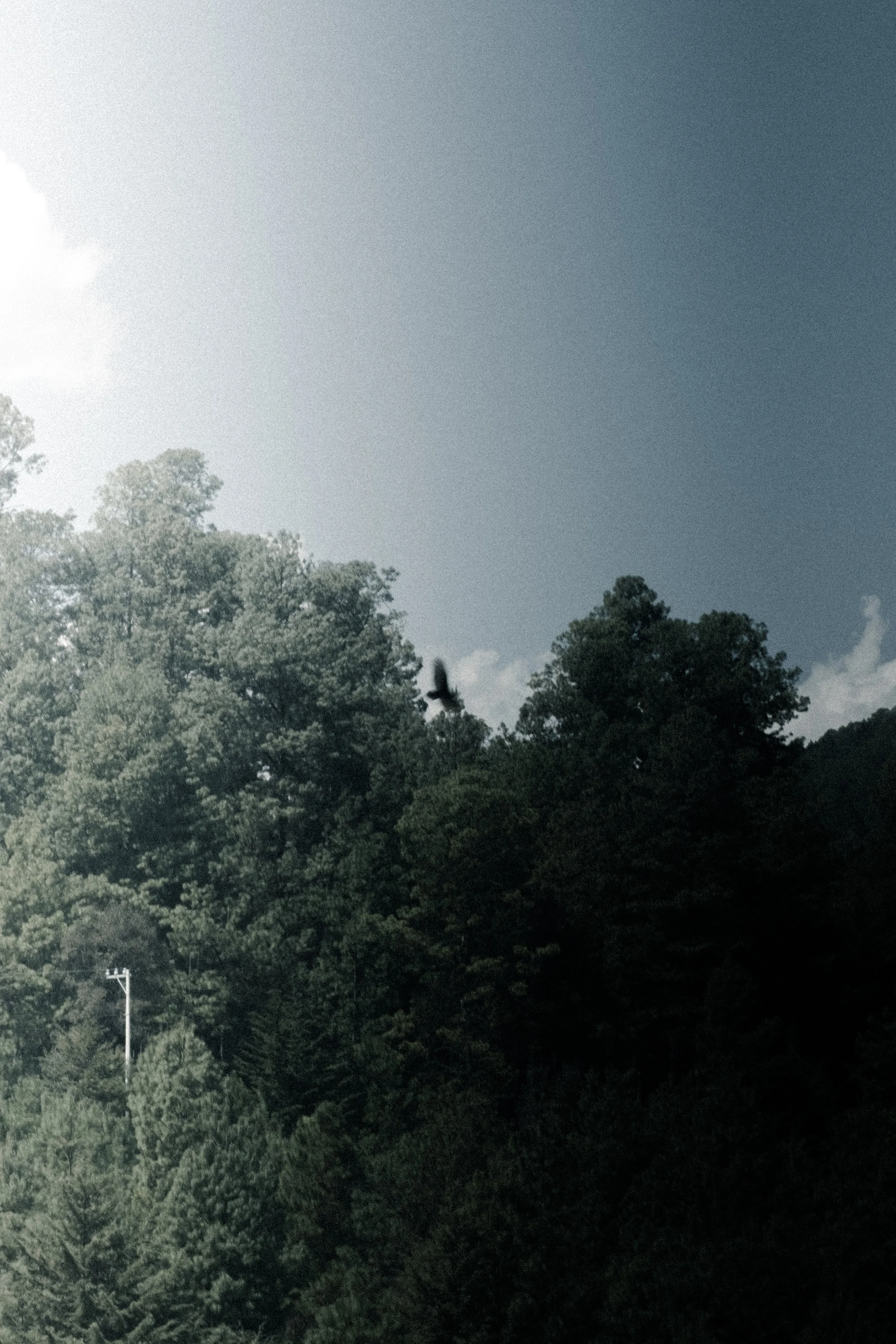 DSCF2068.jpg