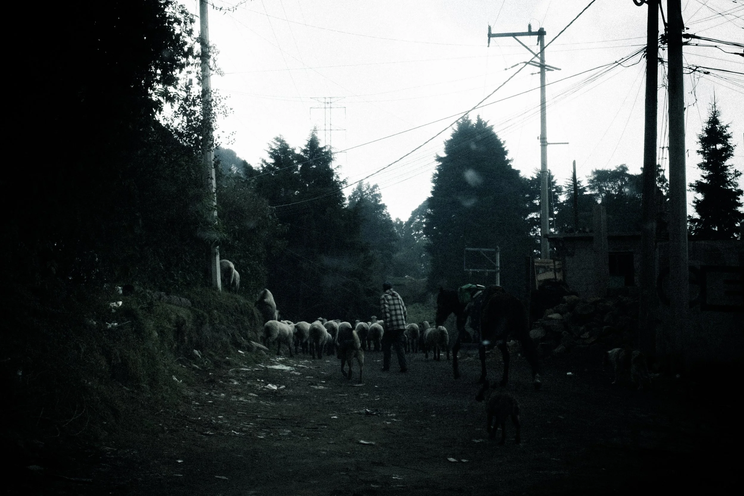 DSCF0949-2.jpg