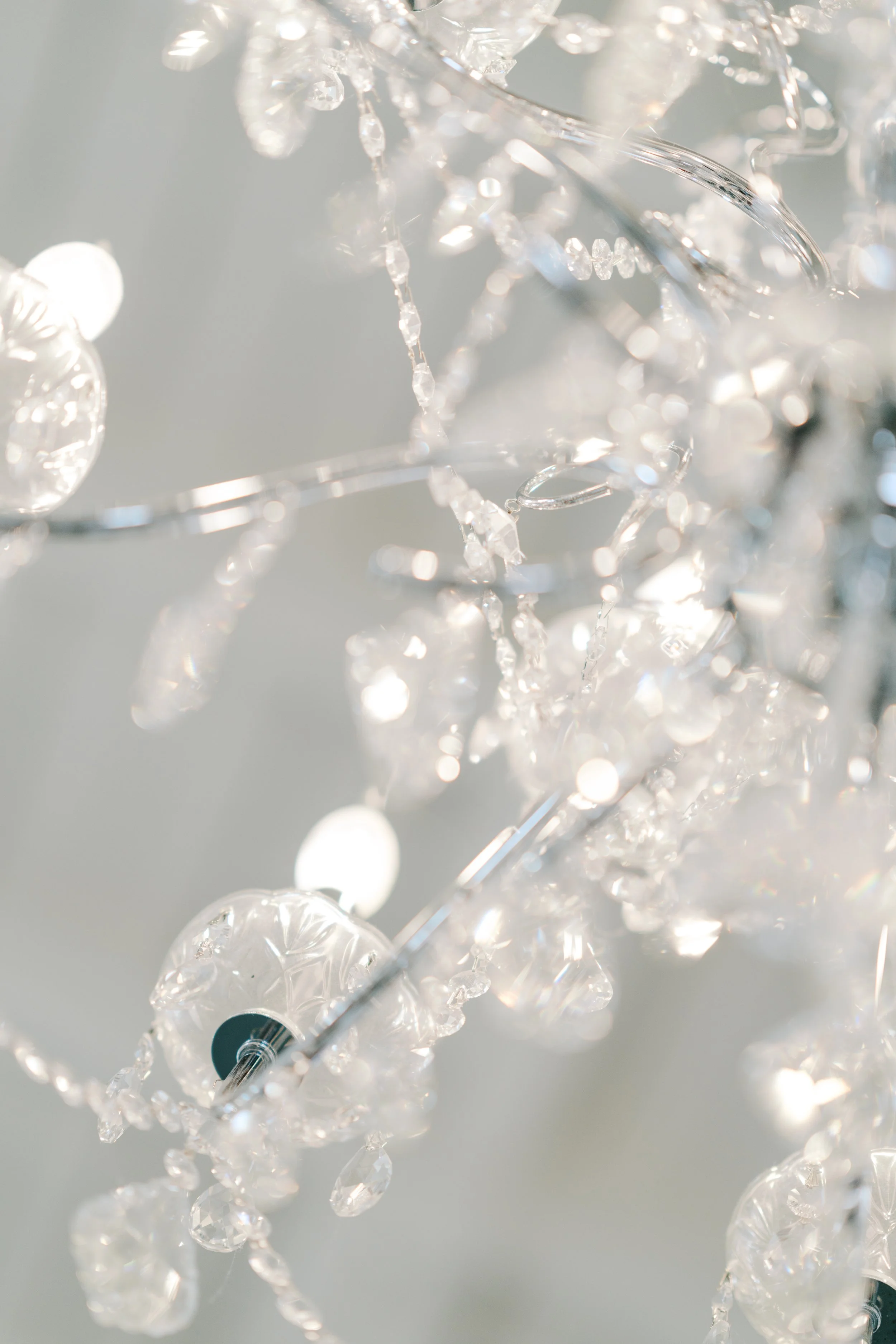 EA FILM SCANS FE NOV-25.jpg