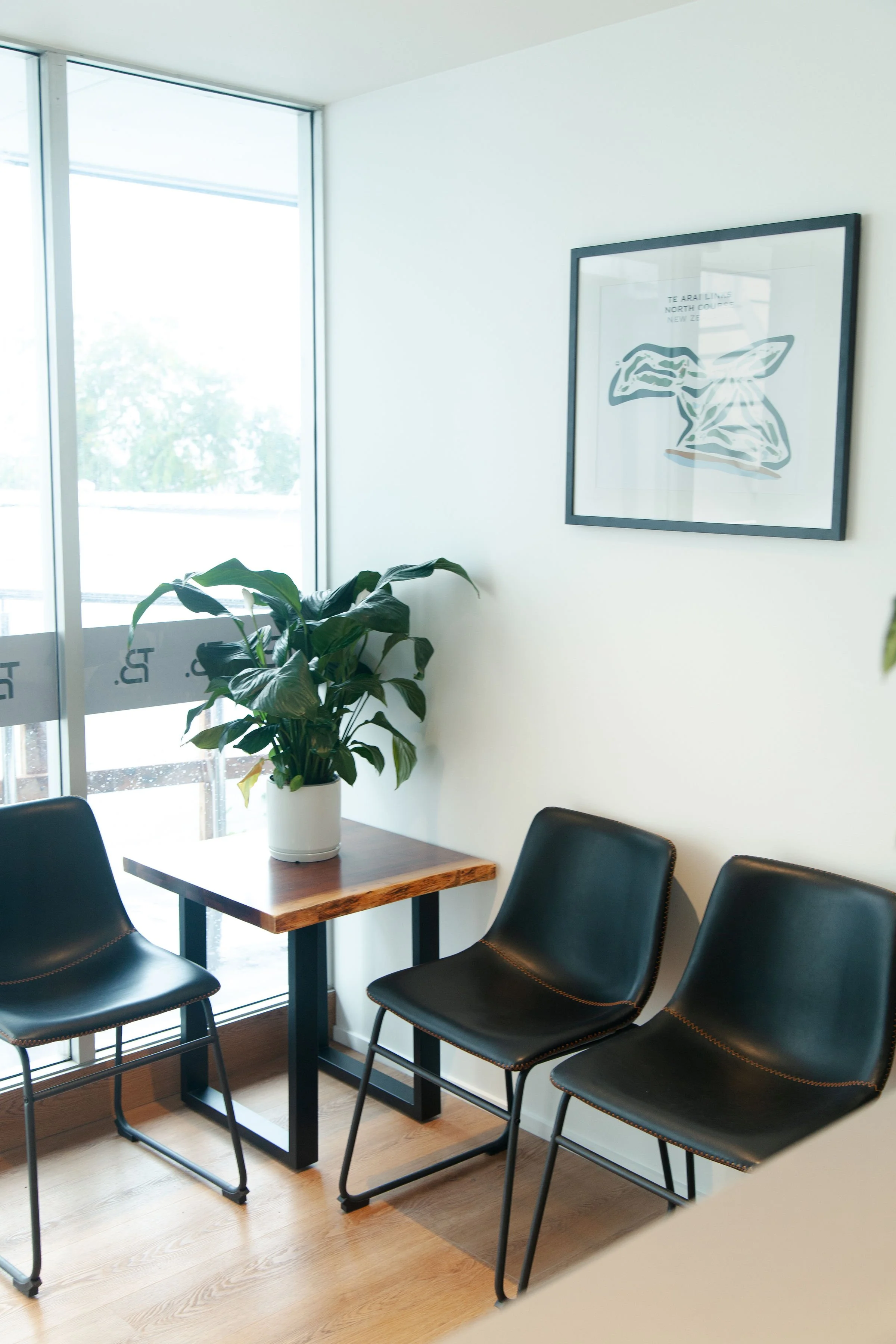 Interior of a modern office or meeting room with a wooden table, a large potted plant with large green leaves, and three black chairs with orange stitching. A framed abstract artwork hangs on a white wall to the right, and large glass window on the left allows natural light to enter.