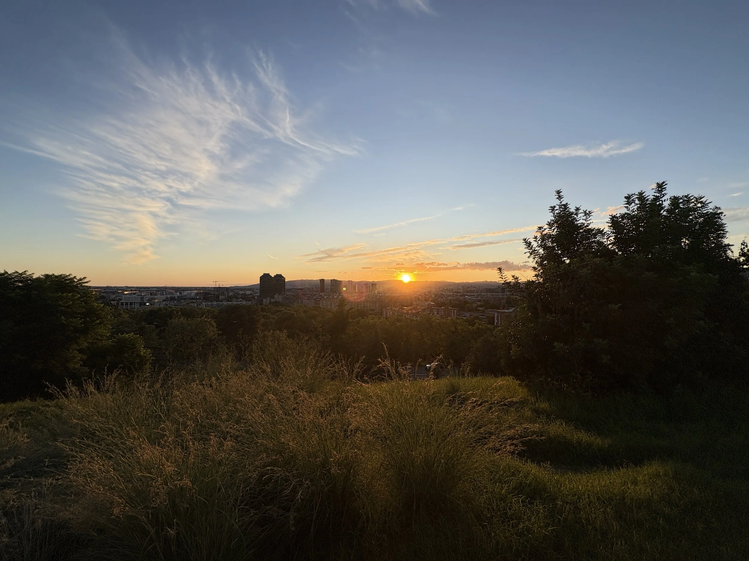 IMG_2679.jpeg