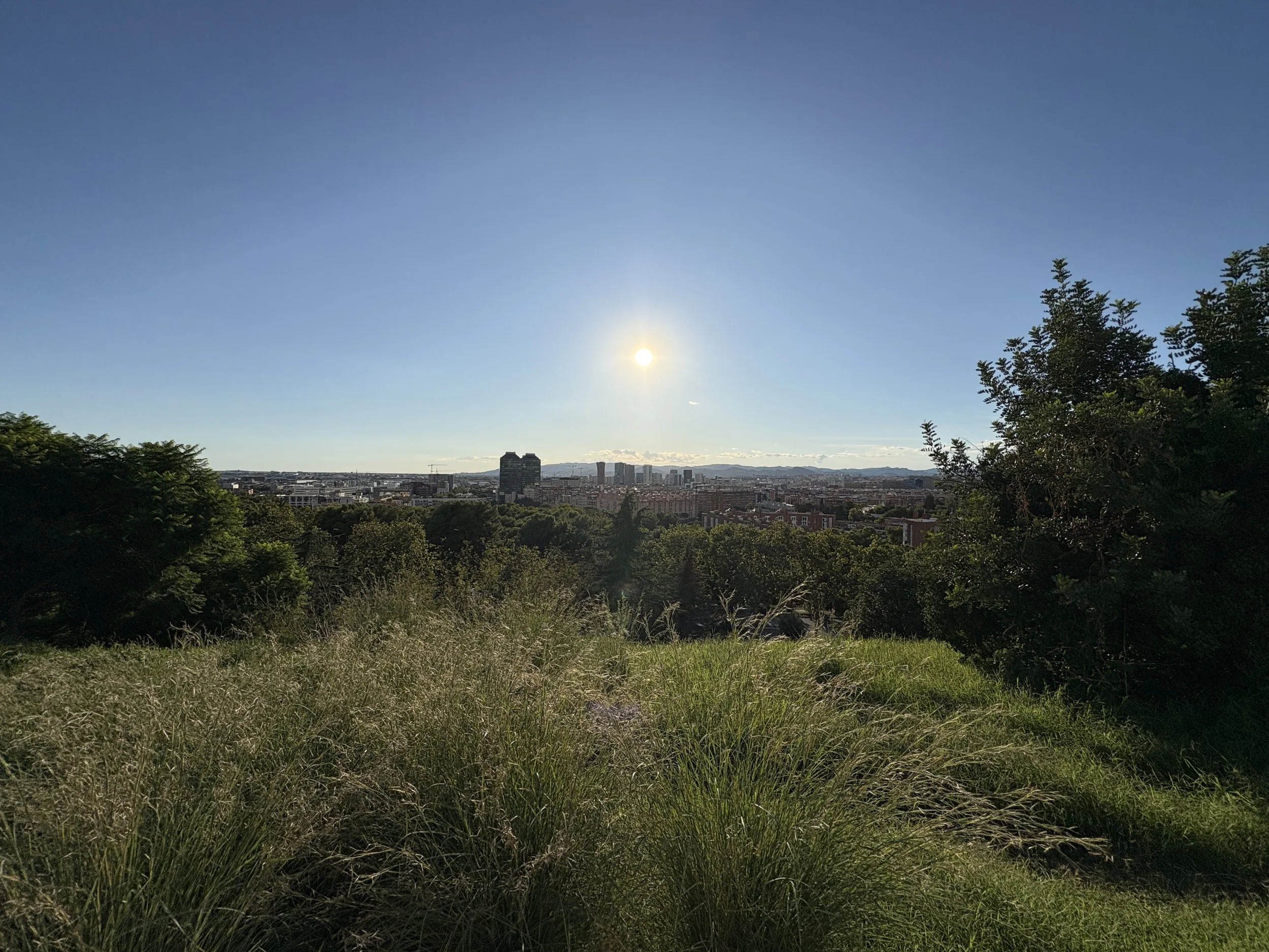 IMG_2683.jpeg