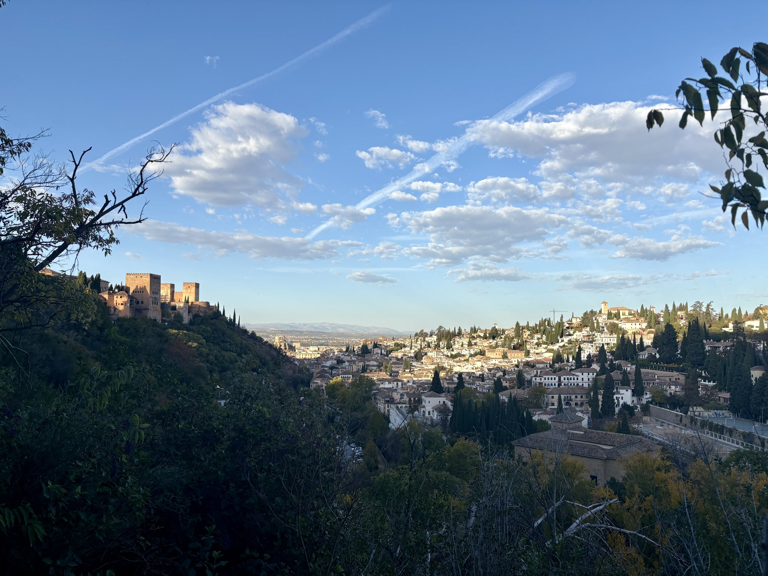 Stevig wandelingske met prachtige uitzichten over Granada en het Alhambra