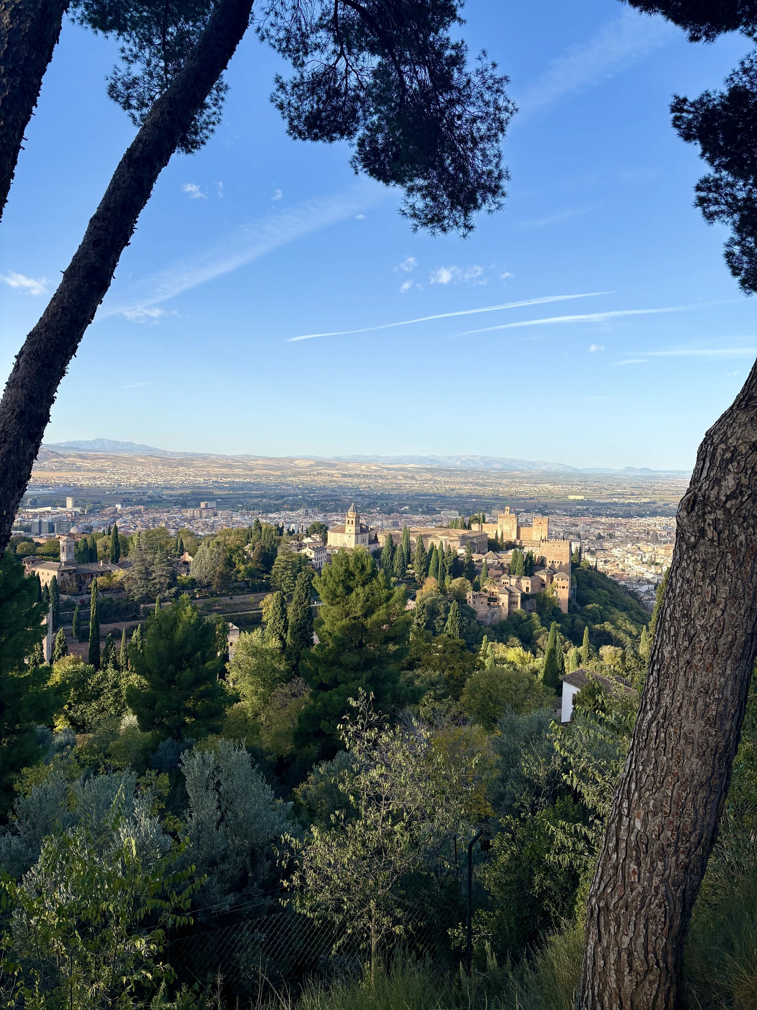 Stevig wandelingske met prachtige uitzichten over Granada en het Alhambra