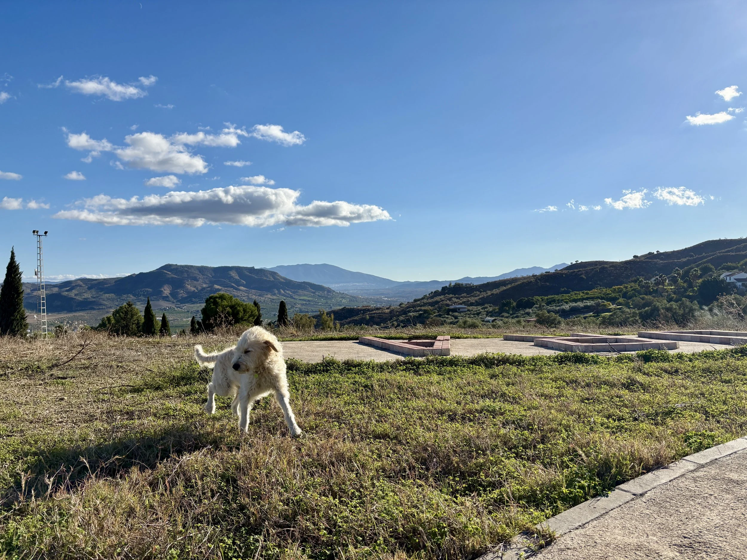 Alora, Spanje