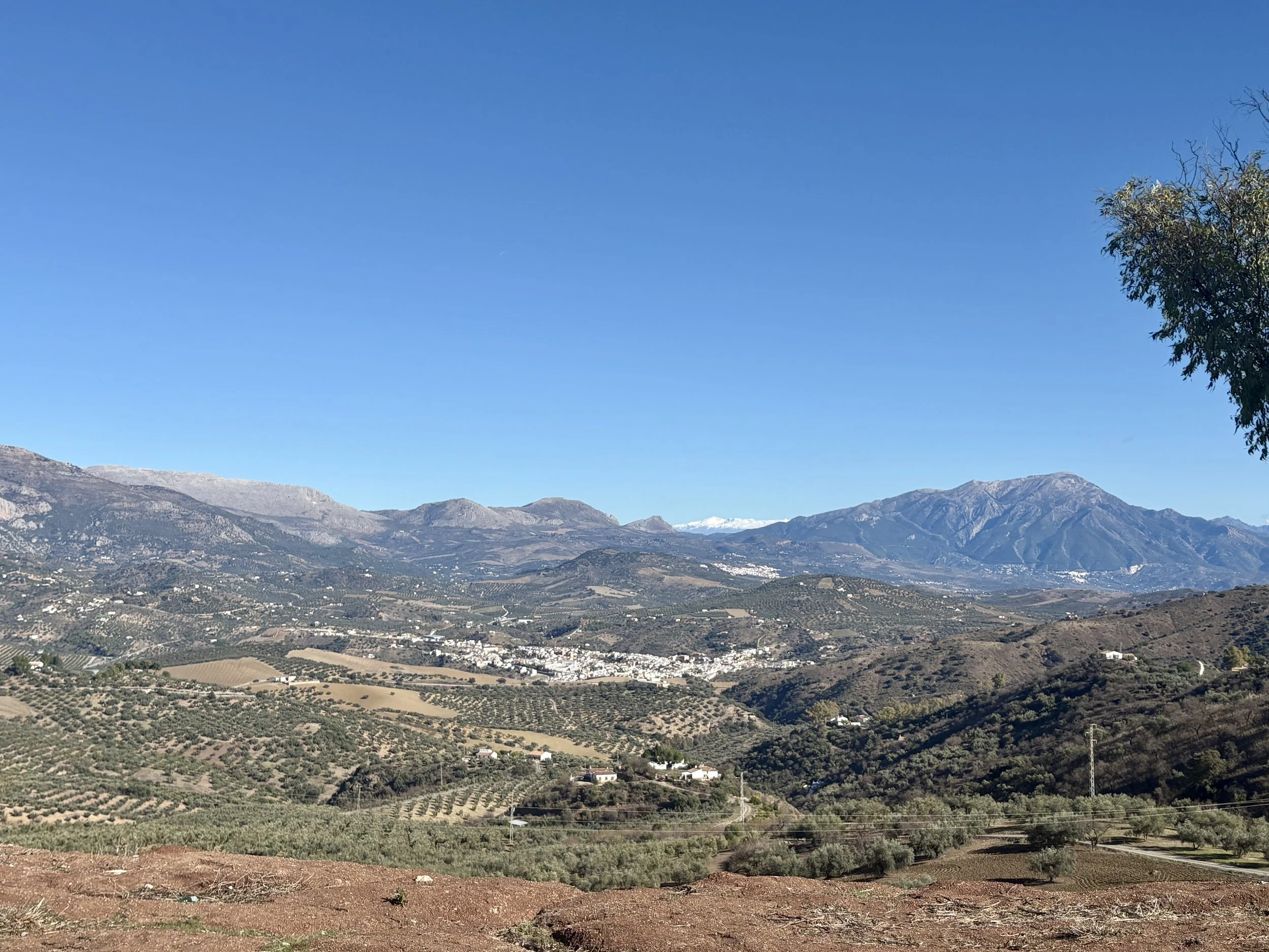 Alfarnate, Spanje