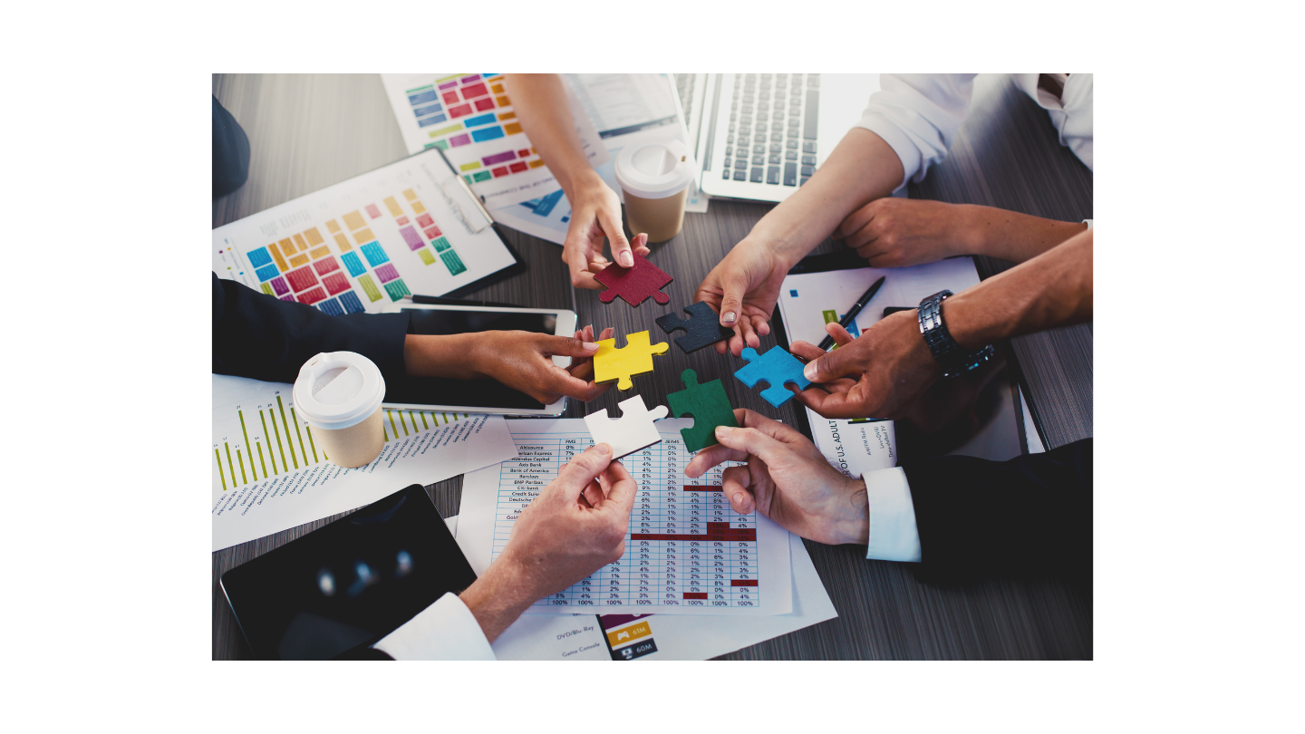 SAP Consulting | COGO