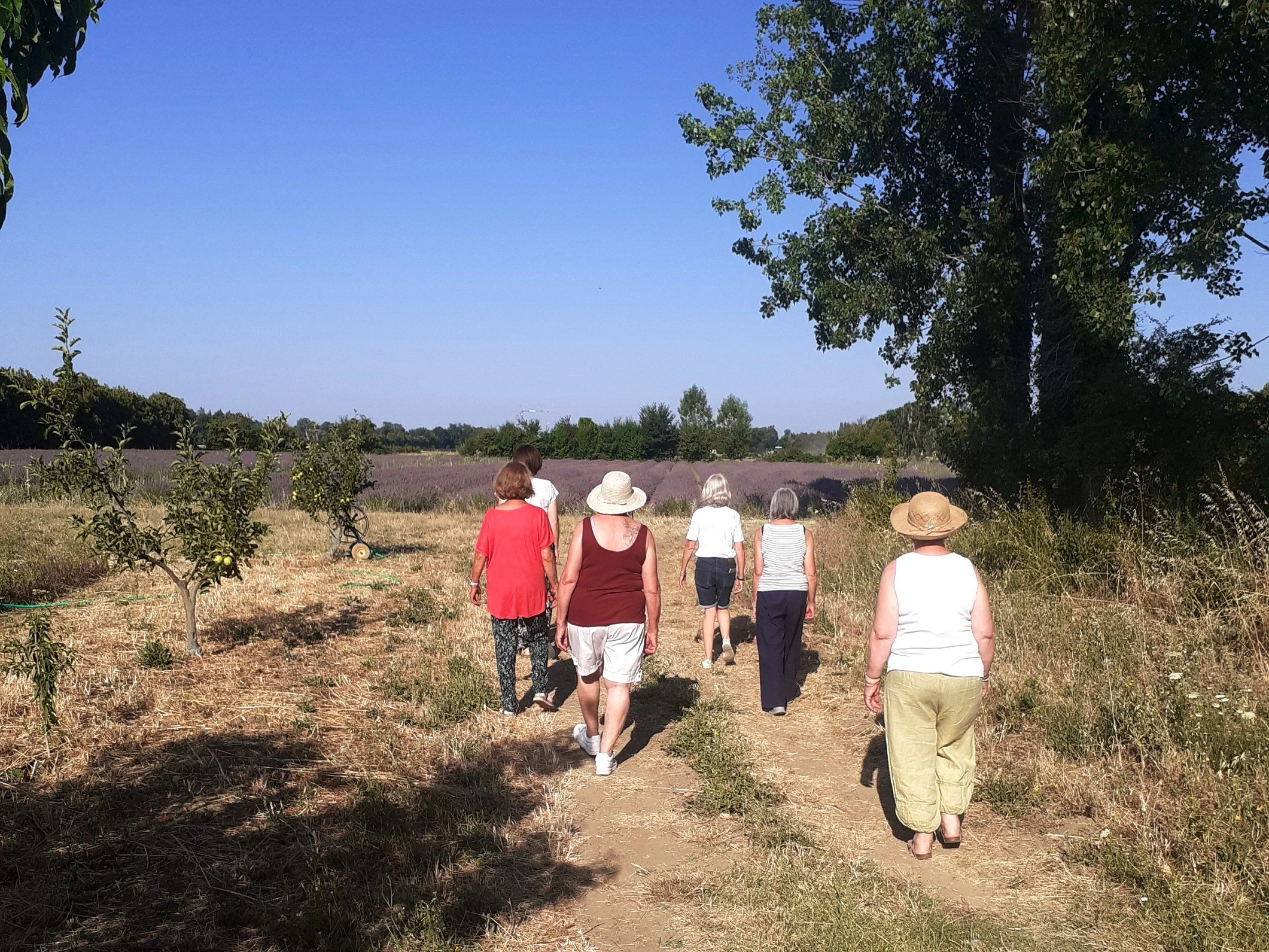 Méditation estivale au cœur de la nature