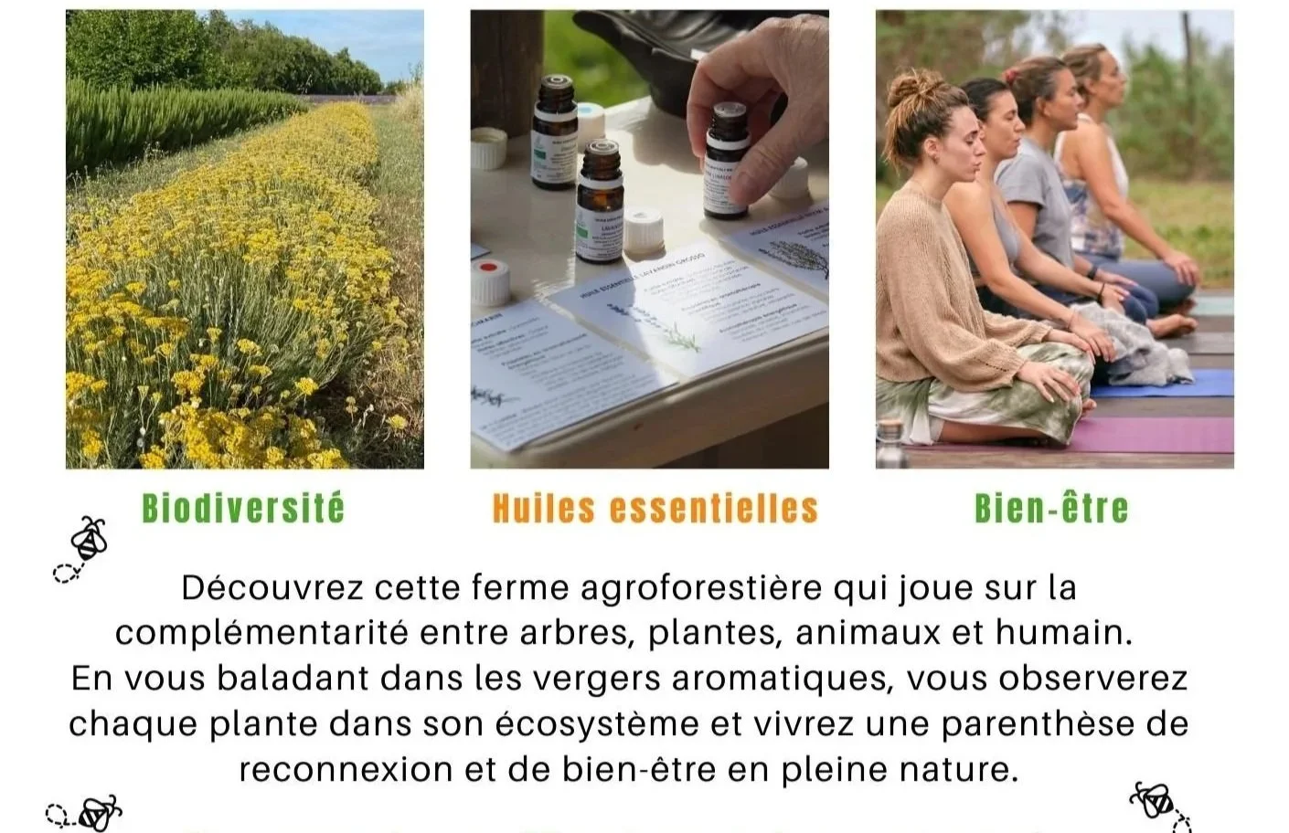 Plongez dans une expérience sensorielle unique