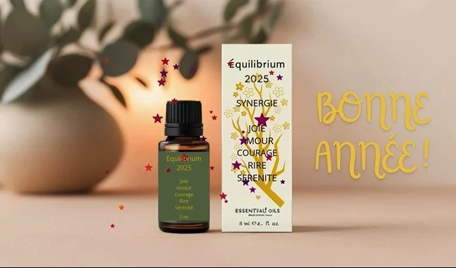 Capture d’écran 2025-01-06 121245.jpg