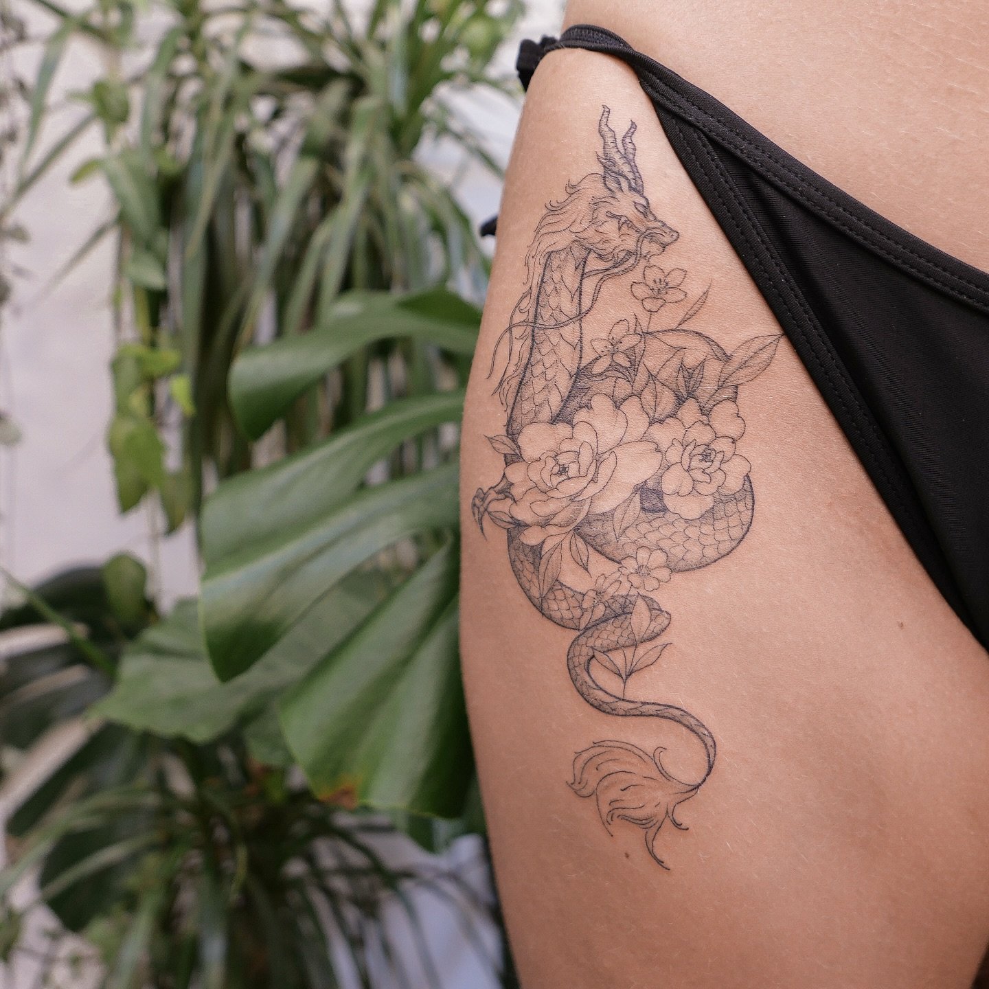 Hip dragon 🐉