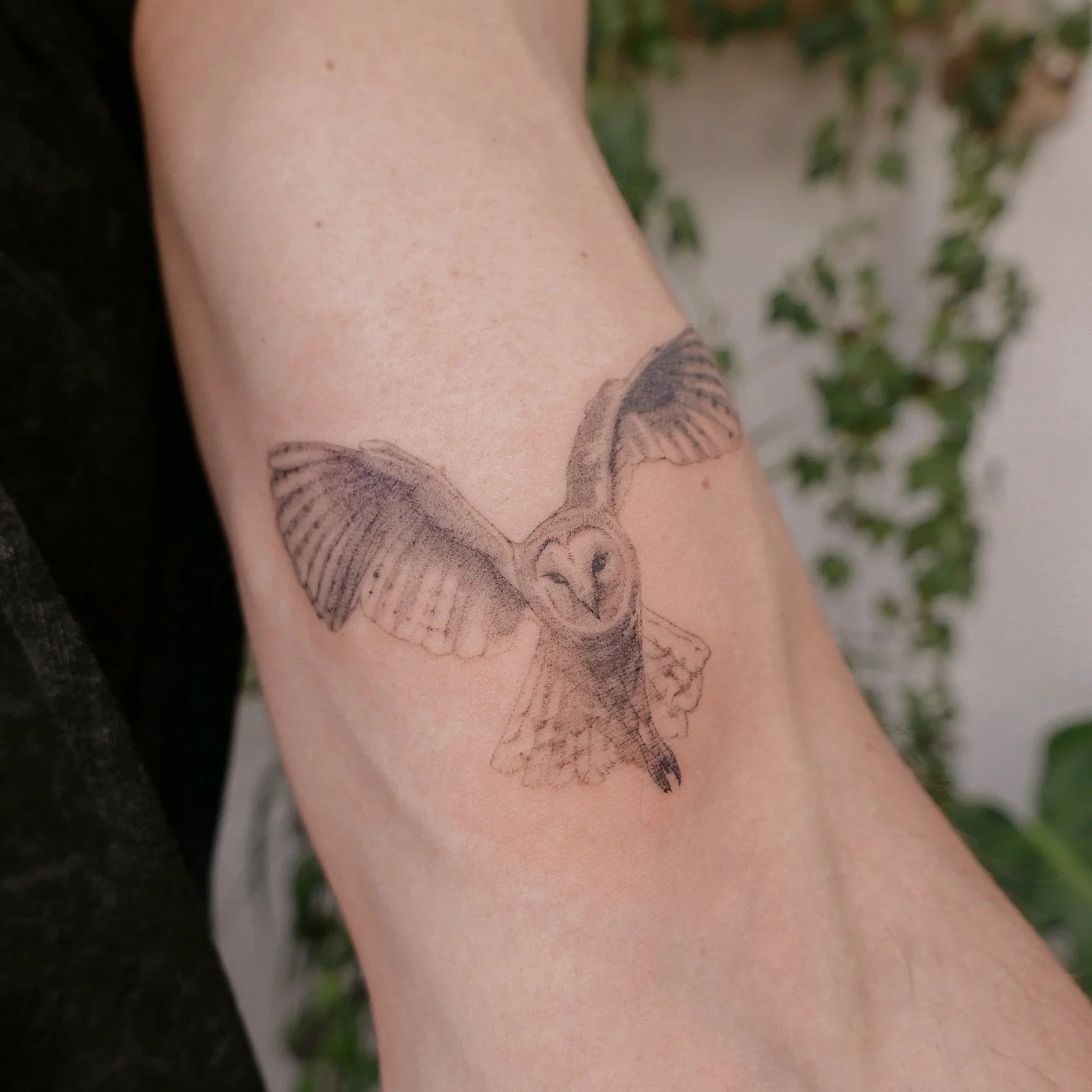 Microrealism 🦉