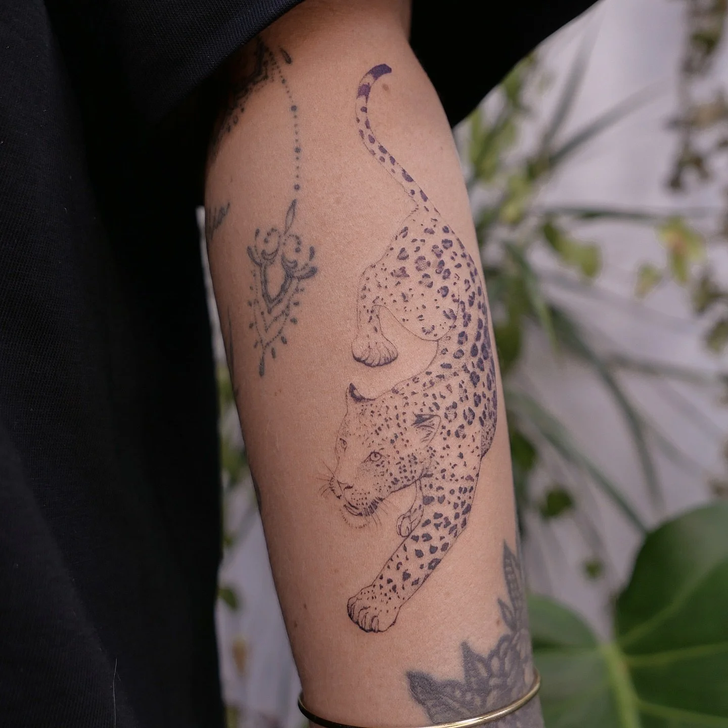 🐆 for the lovely Claire