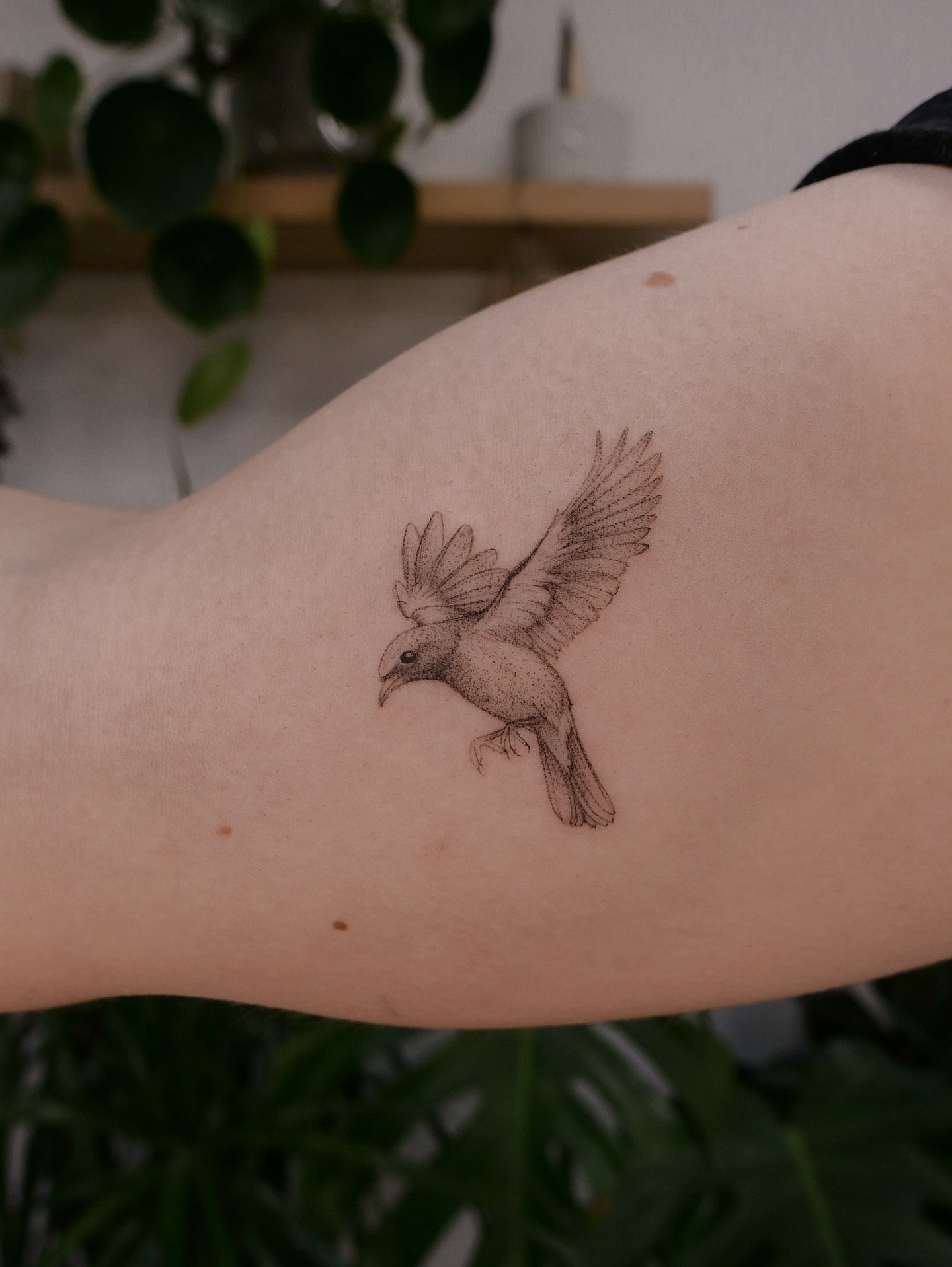 Microrealism birdie by Dave