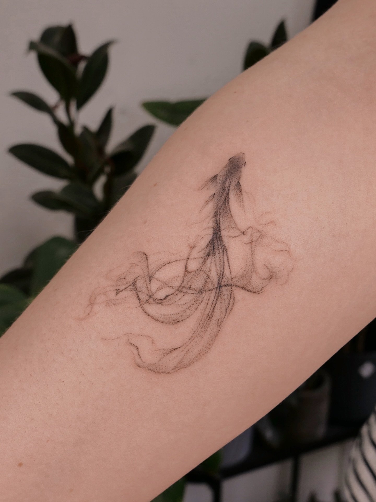 For the lovely Caroline 🐟