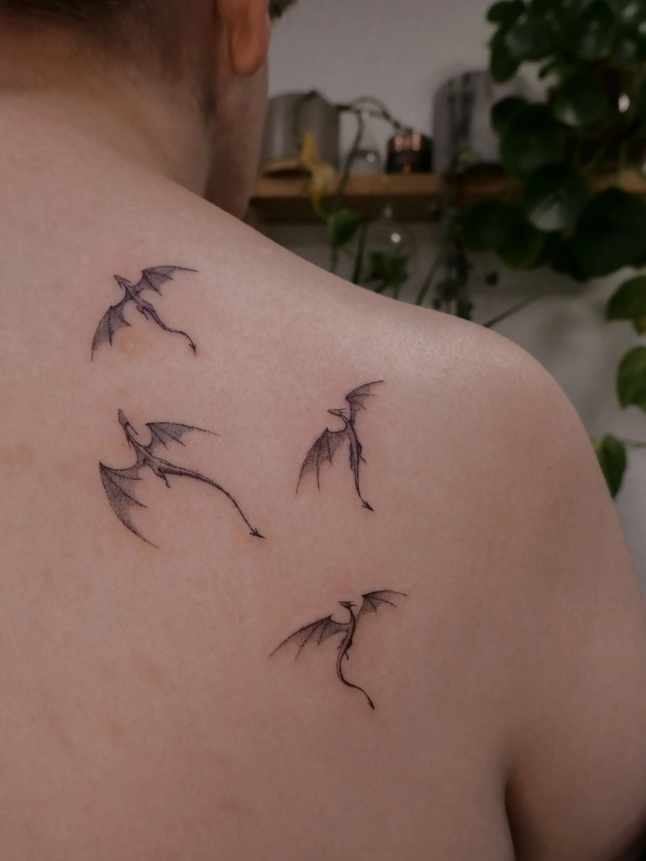 ✦ Baby dragons ✦
