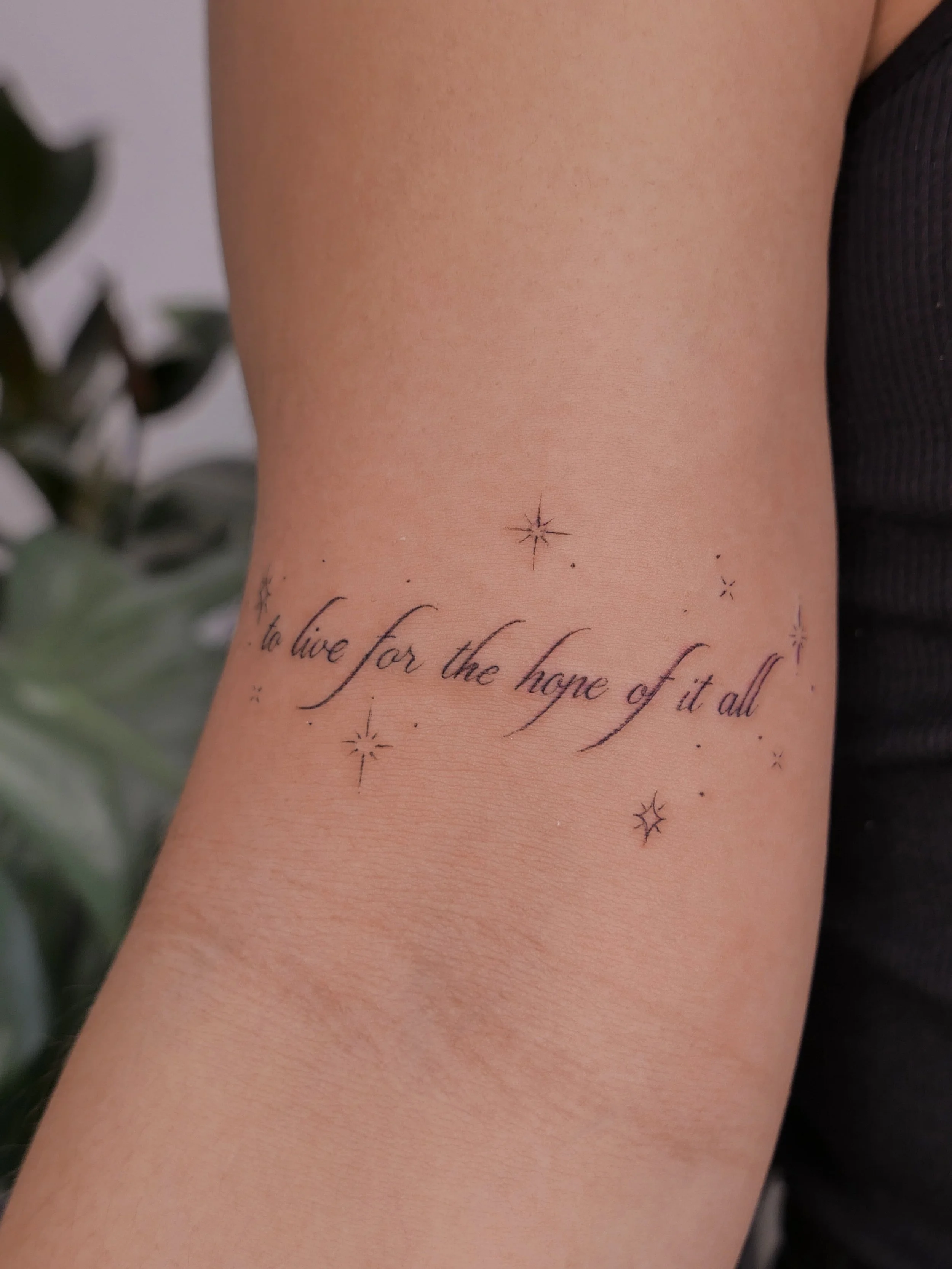 ⊹ ࣪  To live for the hope of it all ⊹₊ ⋆