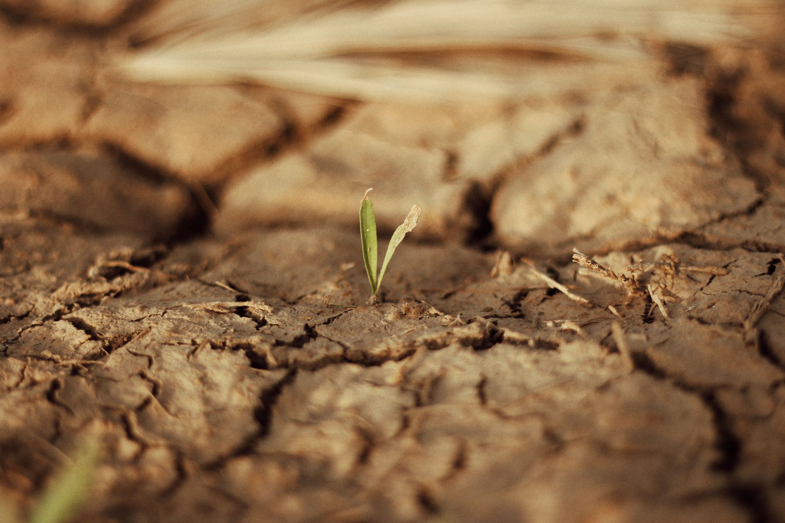 Yeah but…how can we invest in continuous improvement when there’s no more money?