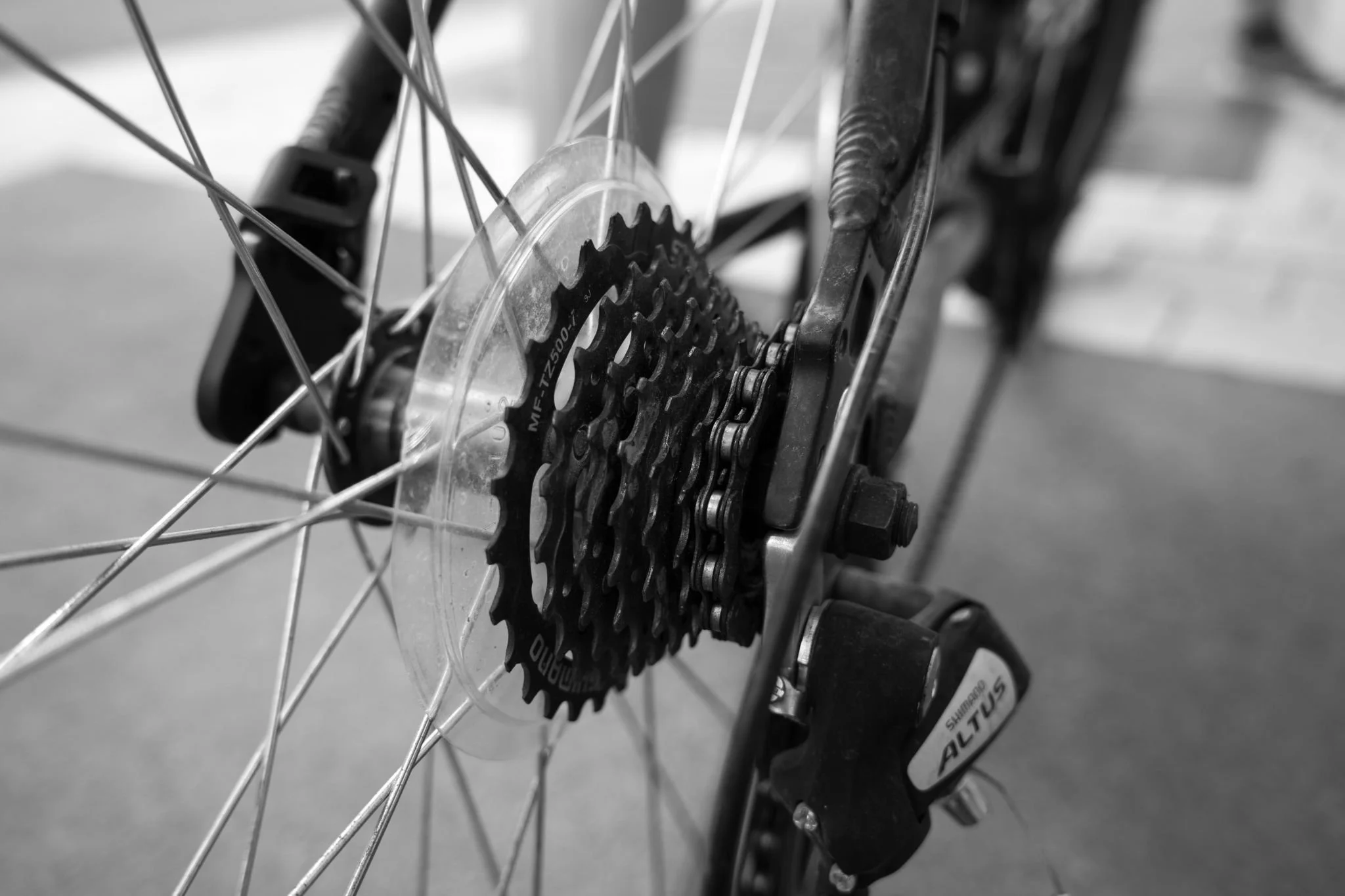 Freewheeling