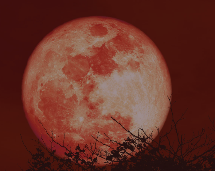 Full Moon - the sacred Feminine