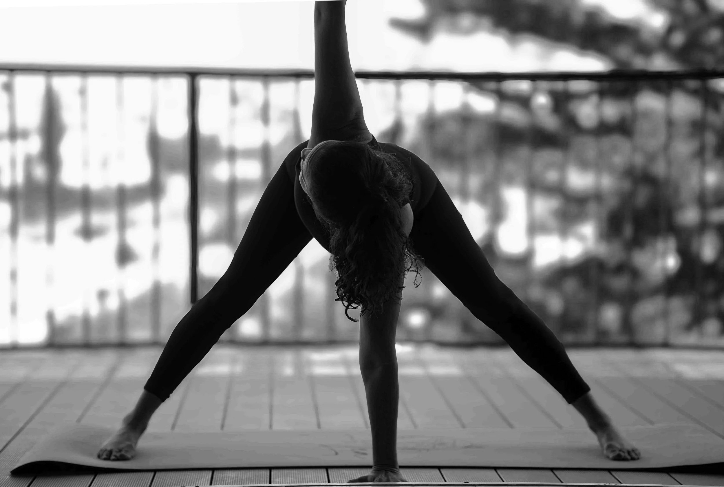 Longevity Is a Lifestyle: What Nature Teaches Us About Aging Well