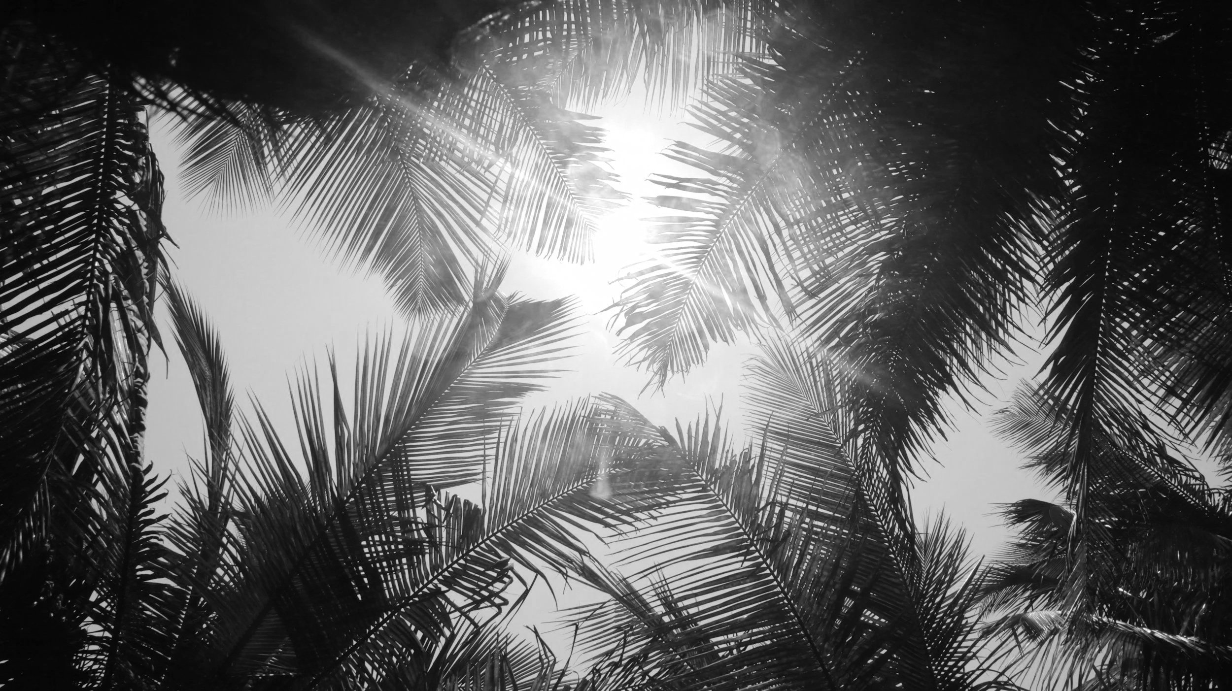 Xochipilli &amp; The Five Aztec Principles of Wellness