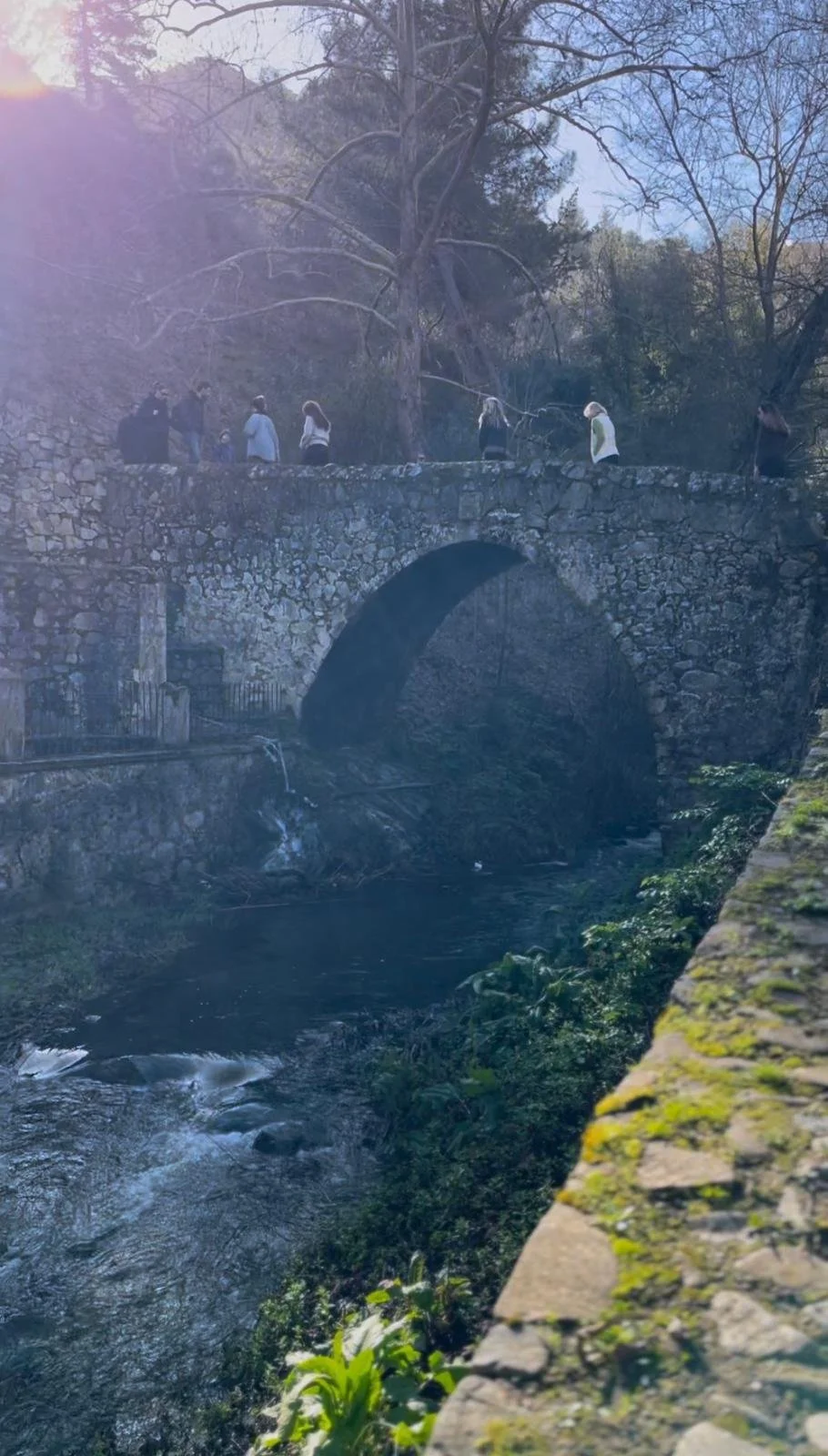 WhatsApp Image 2026-03-04 at 12.27.32 (2).jpeg