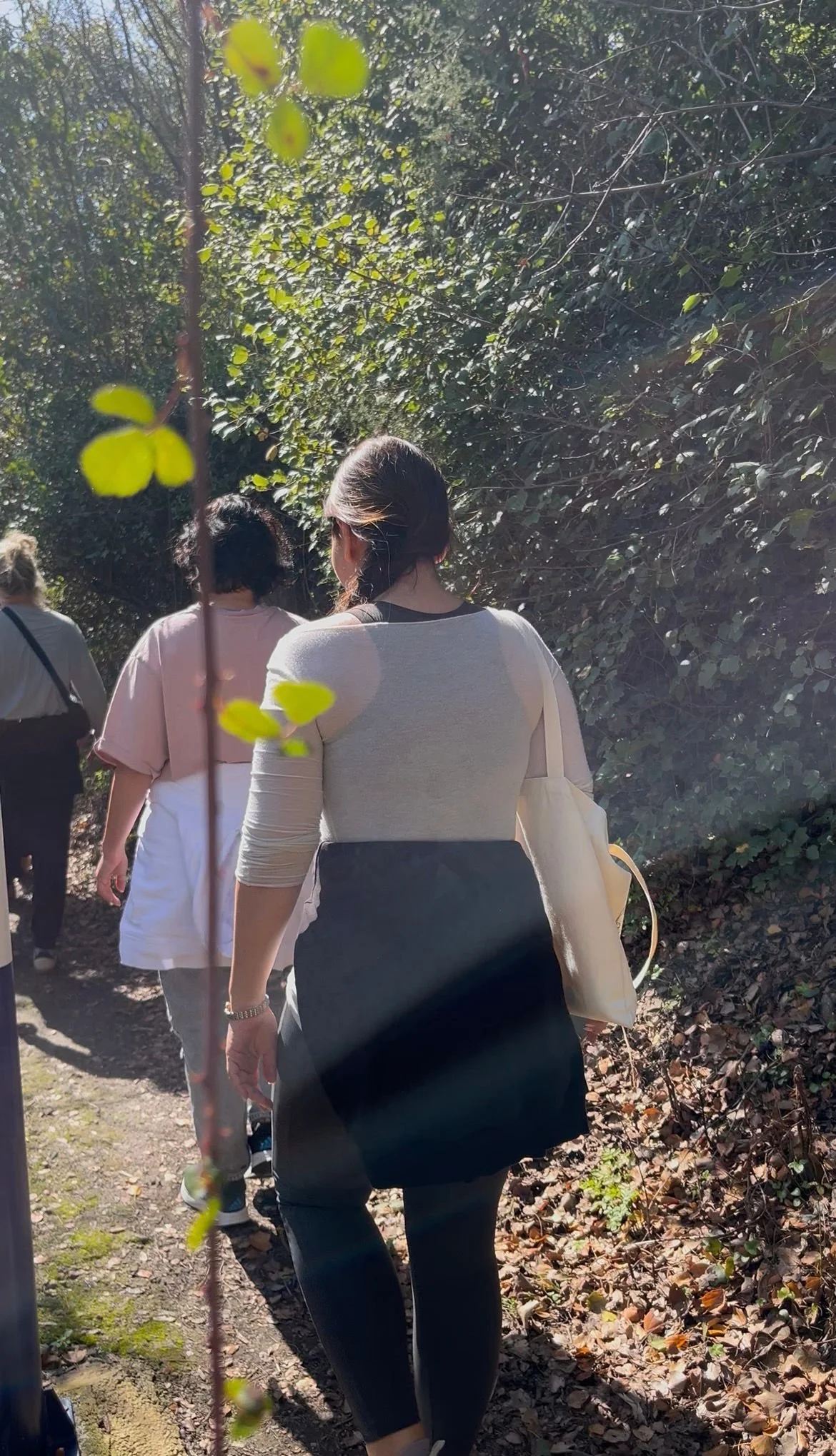 WhatsApp Image 2026-03-04 at 14.04.36.jpeg